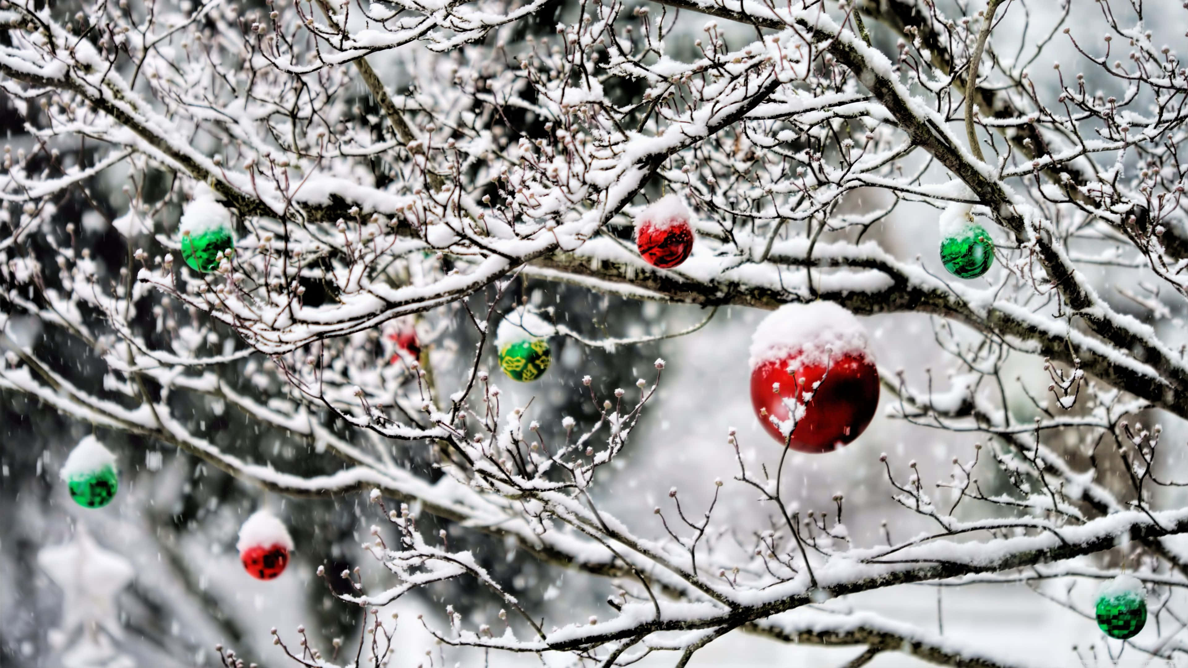 Great Christmas Ornaments Picture 壁紙 — 白雪覆蓋著光禿禿的樹枝，樹枝上裝飾著紅色和綠色的聖誕飾物，捕捉著飄落的雪花。