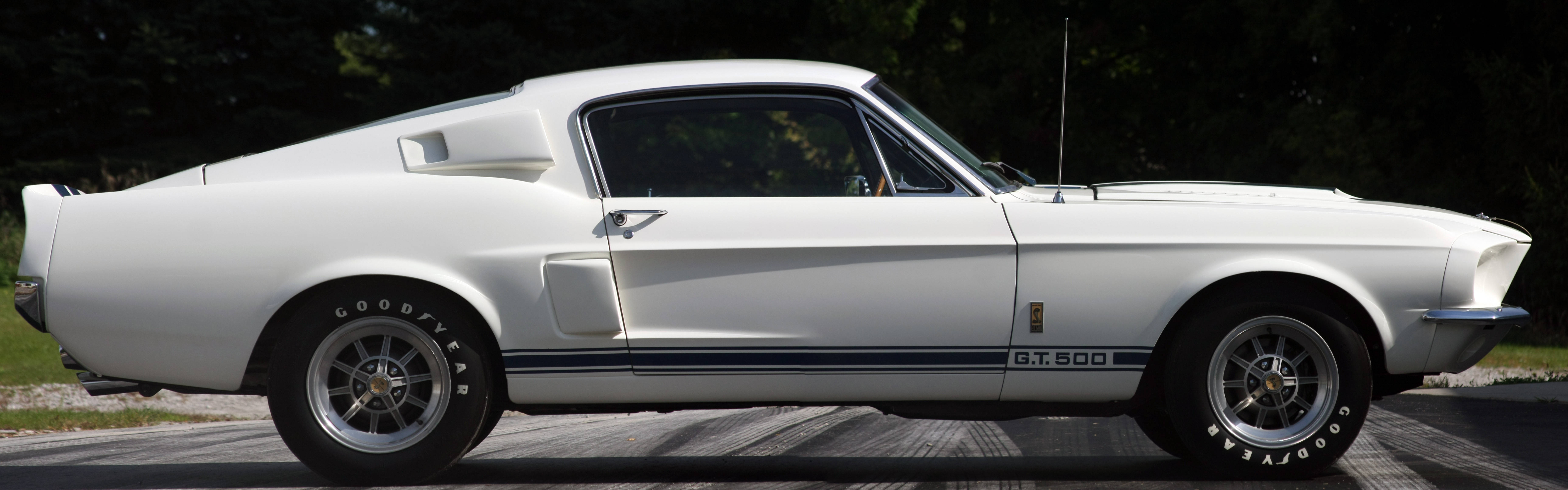 GT 500型雪佛蘭iPhone 壁紙 — 一架純白色經典Shelby GT500肌肉車停泊在鋪砌路面上，背景有樹木。