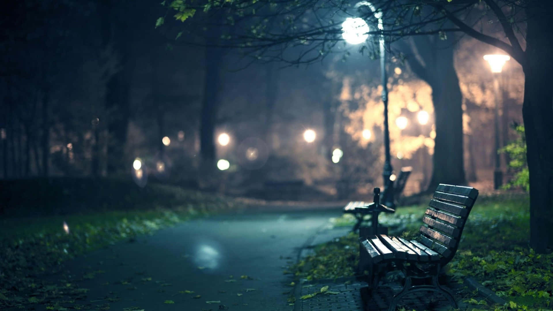  壁紙 — 一張孤獨的公園長椅在夜晚的路燈下發光，周圍是樹木和落葉，處於寧靜的城市環境中。