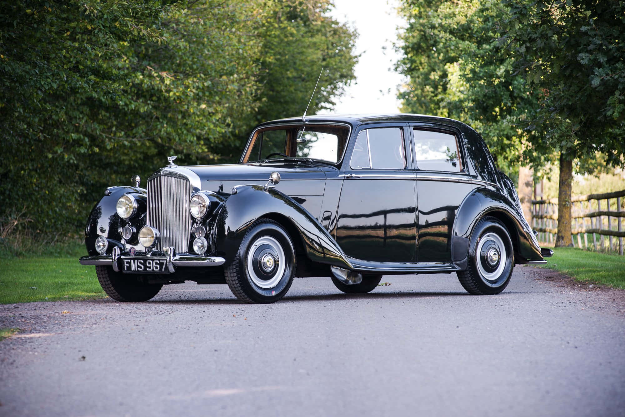 Bentley Mark Vi 桌布 壁紙 — 一輛光亮的黑色 vintage Bentley 房車在樹蔭下的碎石車道上，在柔和日光下閃耀。