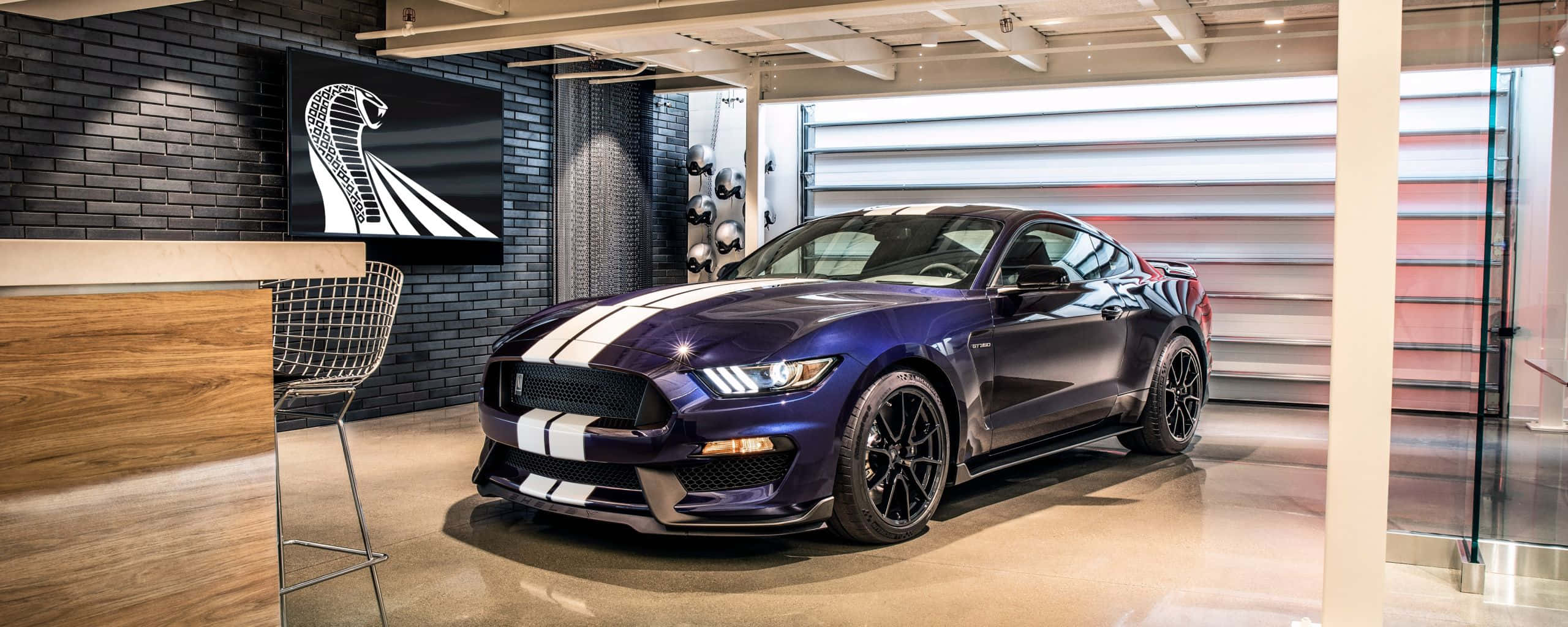Ford Mustang Shelby Gt350 桌布 壁紙 — 一輛光澤的紫色福特野馬Shelby GT500帶有白色賽車條紋，在一個現代化的展廳中展示，背景是黑色磚牆和眼鏡蛇標誌。