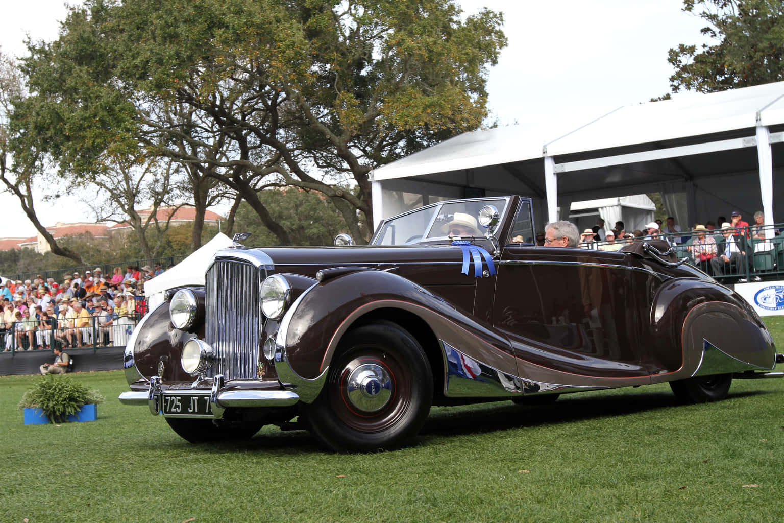 Bentley Mark Vi 桌布 壁紙 — 一輛光澤的棕色復古敞篷車，帶有鍍鉻裝飾和藍色絲帶，停在戶外車展的草地上，周圍有觀眾。
