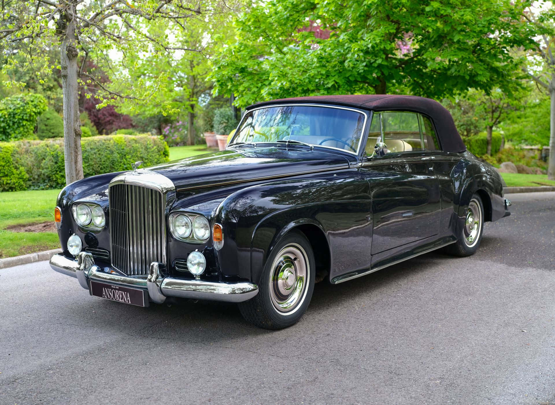 Bentley S3 桌布 壁紙 — 一輛光澤黑色經典賓利開篷車停泊在綠樹成蔭的車道上，背景是茂密的綠植。