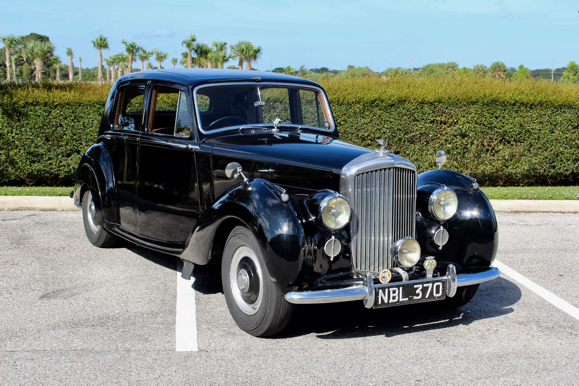 Bentley Mark Vi 桌布 壁紙 — 一架光澤黑色 vintage Rolls-Royce 自豪地停泊在陽光普照的停車場，周圍是修剪整齊的樹籬和棕櫚樹。