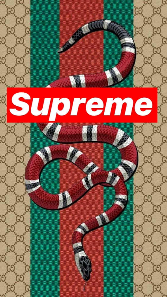 一條帶有紅白黑條紋的蛇，位於Gucci圖案背景上，帶有Supreme標誌。