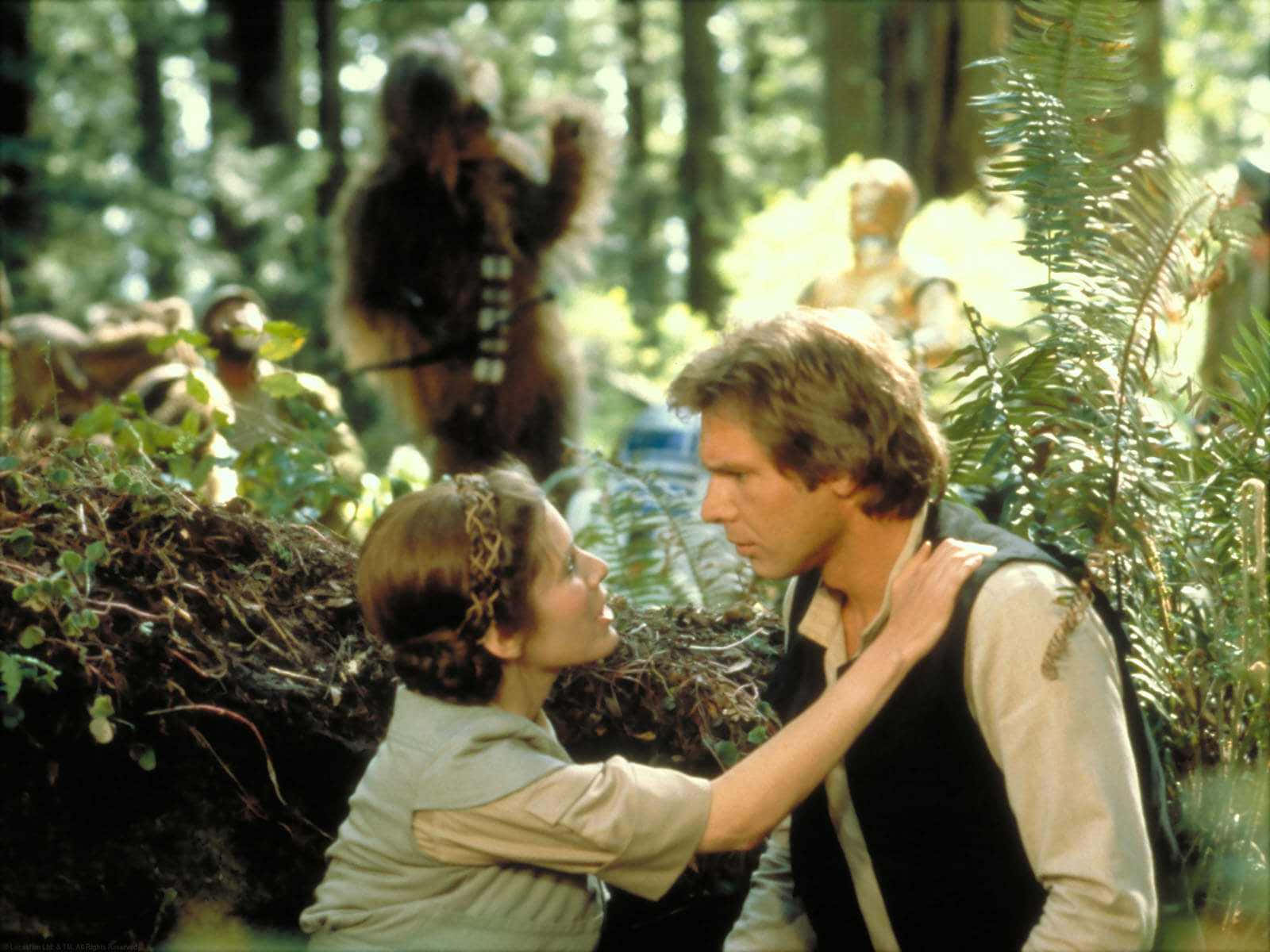 Return Of The Jedi 桌布 壁紙 — Han Solo 和 Leia 公主在陽光明媚的森林中分享親密時刻，背景有 Chewbacca 和 C-3PO。
