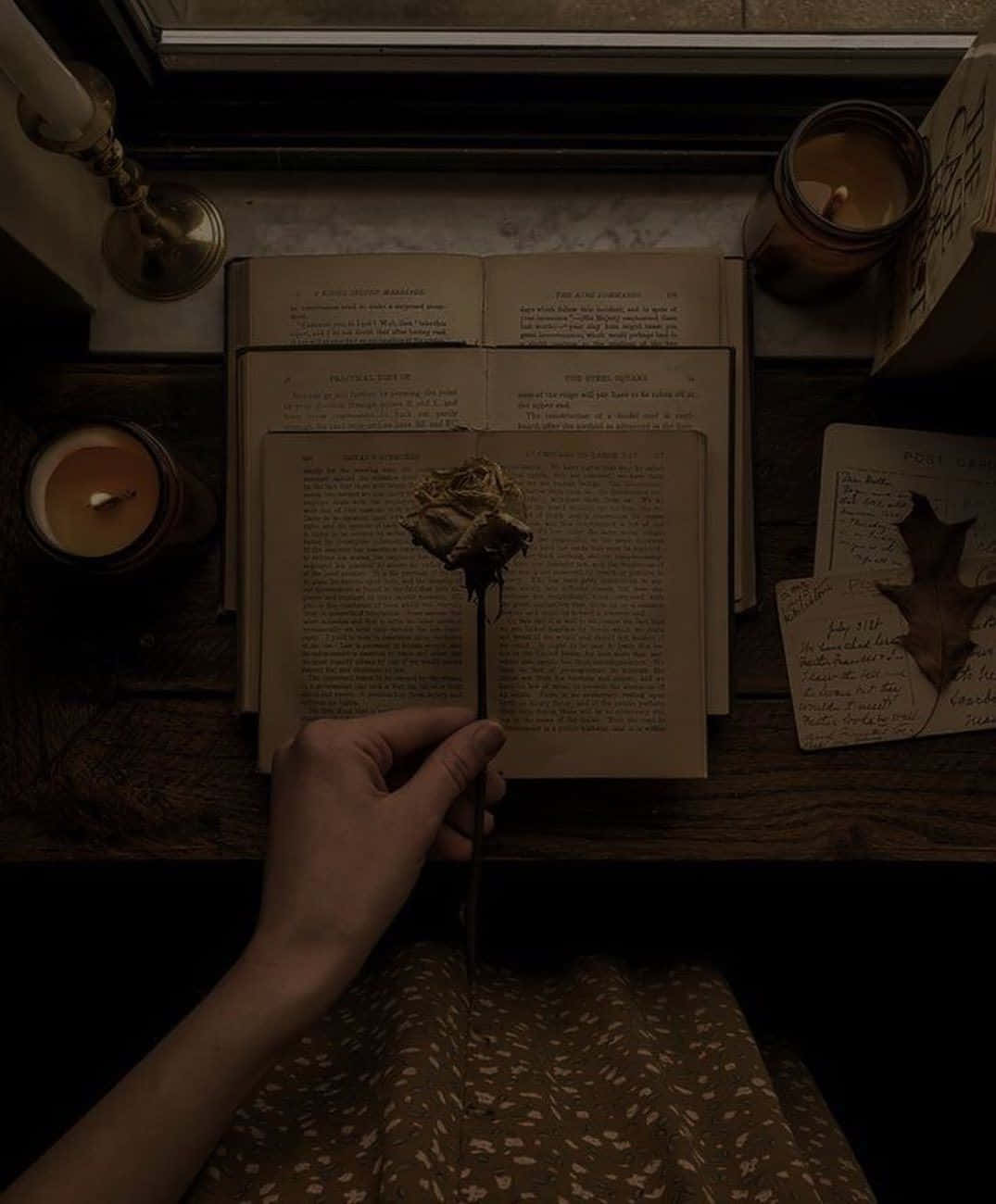 Dark Book Aesthetic 桌布 壁紙 — 一隻手喺昏暗嘅木枱上，喺蠟燭同手寫筆記之間，拎住一朵乾玫瑰放喺一本打開嘅書上面。