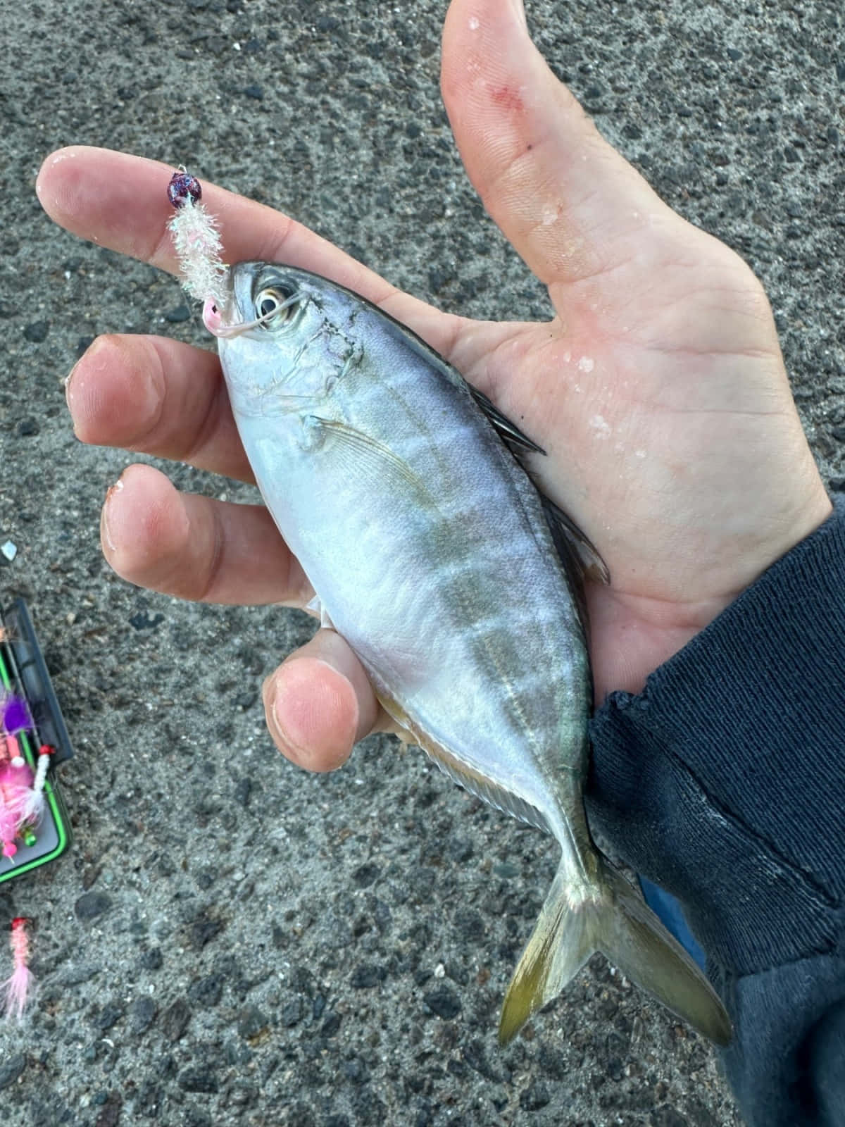  壁紙 — 一隻手喺灰色碎石背景上，拎住一條細小嘅銀色魚，魚嘴有魚餌。