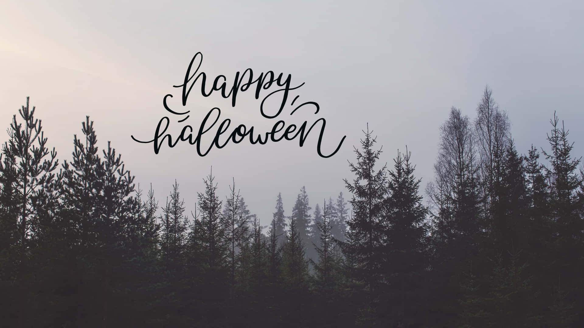 黑暗森林中的萬聖節美學背景，寫著「Happy Halloween」 壁紙 — 霧氣籠罩的森林剪影，配上優雅的黑色草書 'happy halloween' 文字，背景是淡灰色天空。