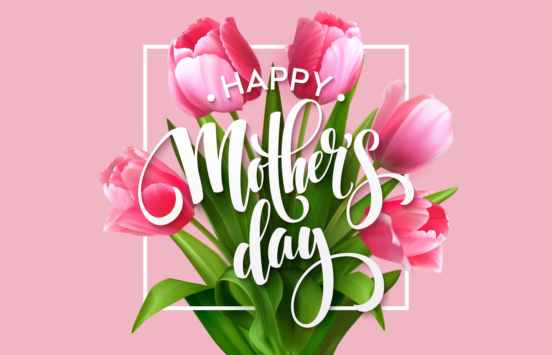 Happy Mother's Day 祝福，粉紅色鬱金香和綠色葉子放在白色框架中。
