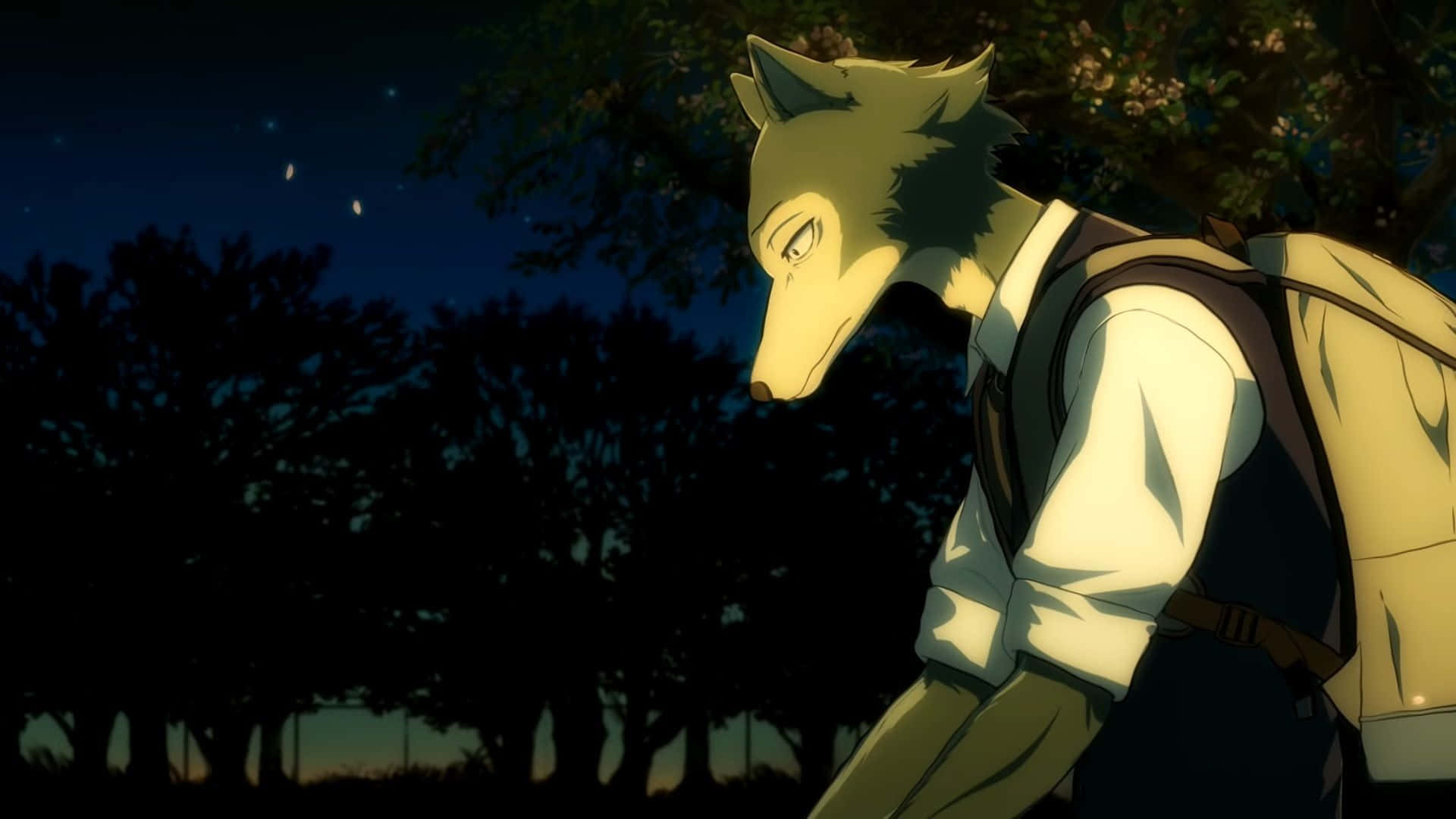 「Harima 與 Gouhin：共創《Beastars》世界」 壁紙 — 一個像狼的動漫角色穿著校服，站在繁星點點的夜空下，背後有樹木的剪影。