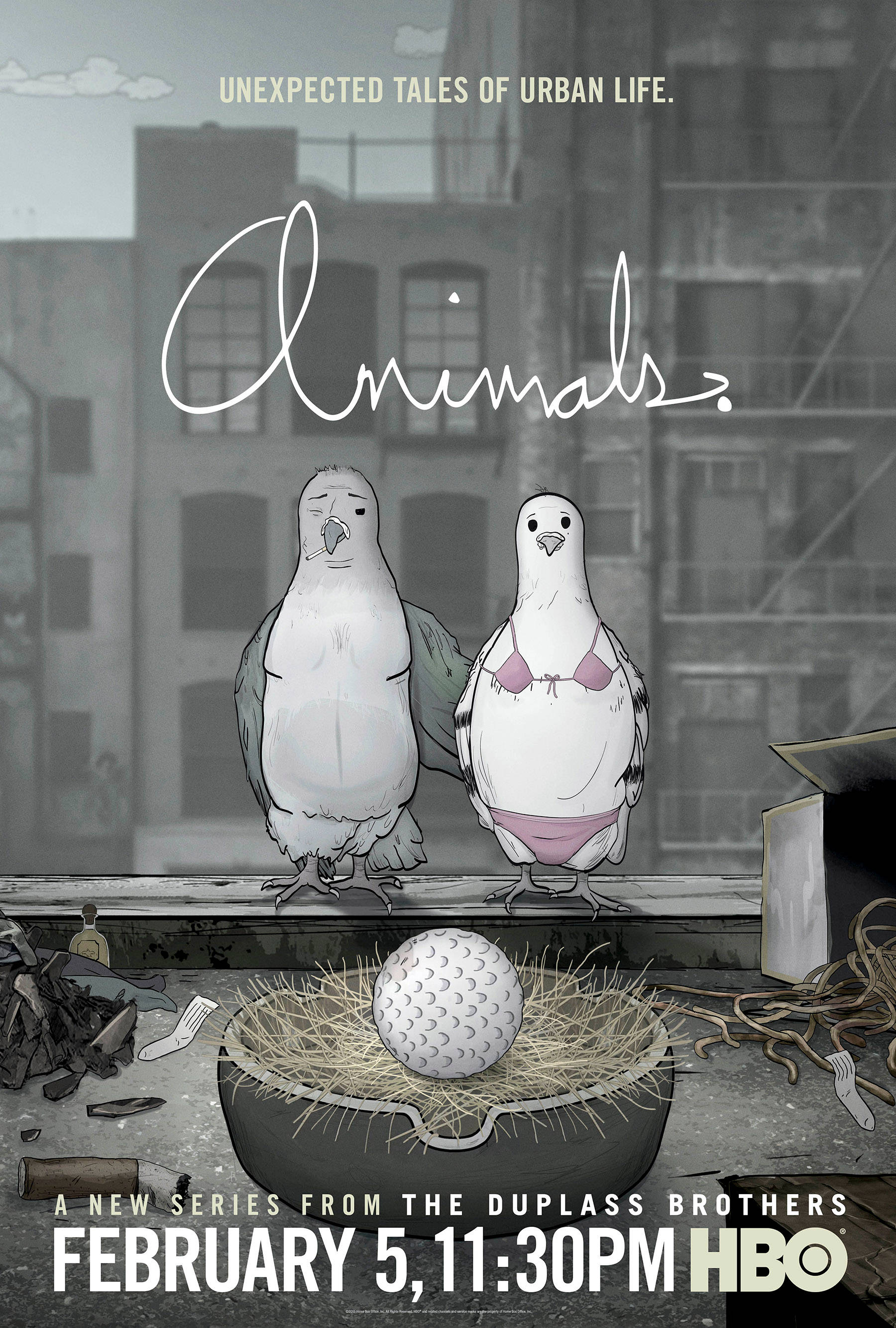HBO《動物》 壁紙 — 兩隻擬人化的鴿子穿著粉紅色比基尼，站在粗糙的屋頂邊緣，旁邊有一個巢穴，裡面有一個高爾夫球。
