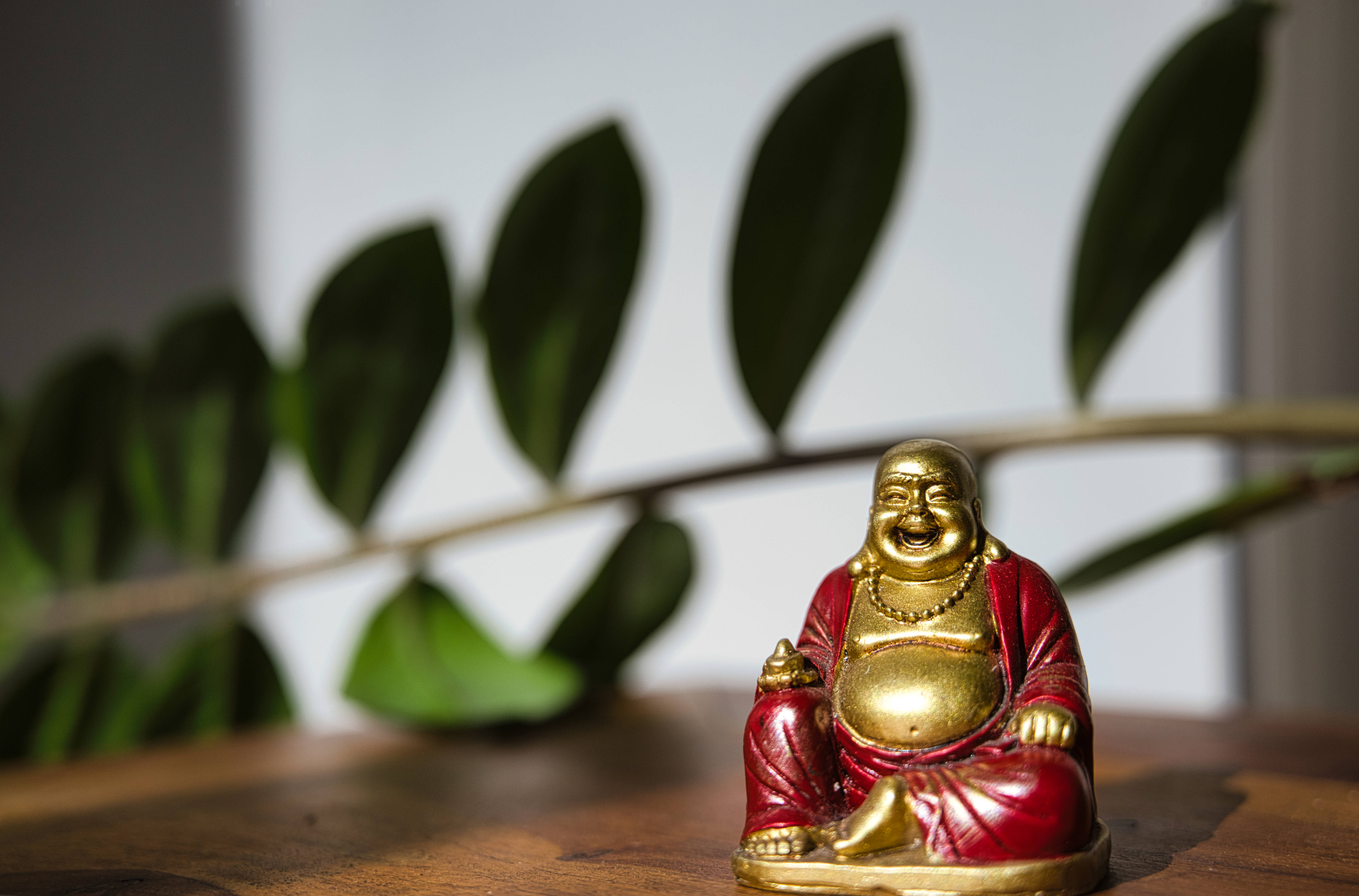 微笑佛像 HD 壁紙 — 一個閃亮的紅色和金色笑佛雕像放在木質表面上，背景有模糊的綠葉。