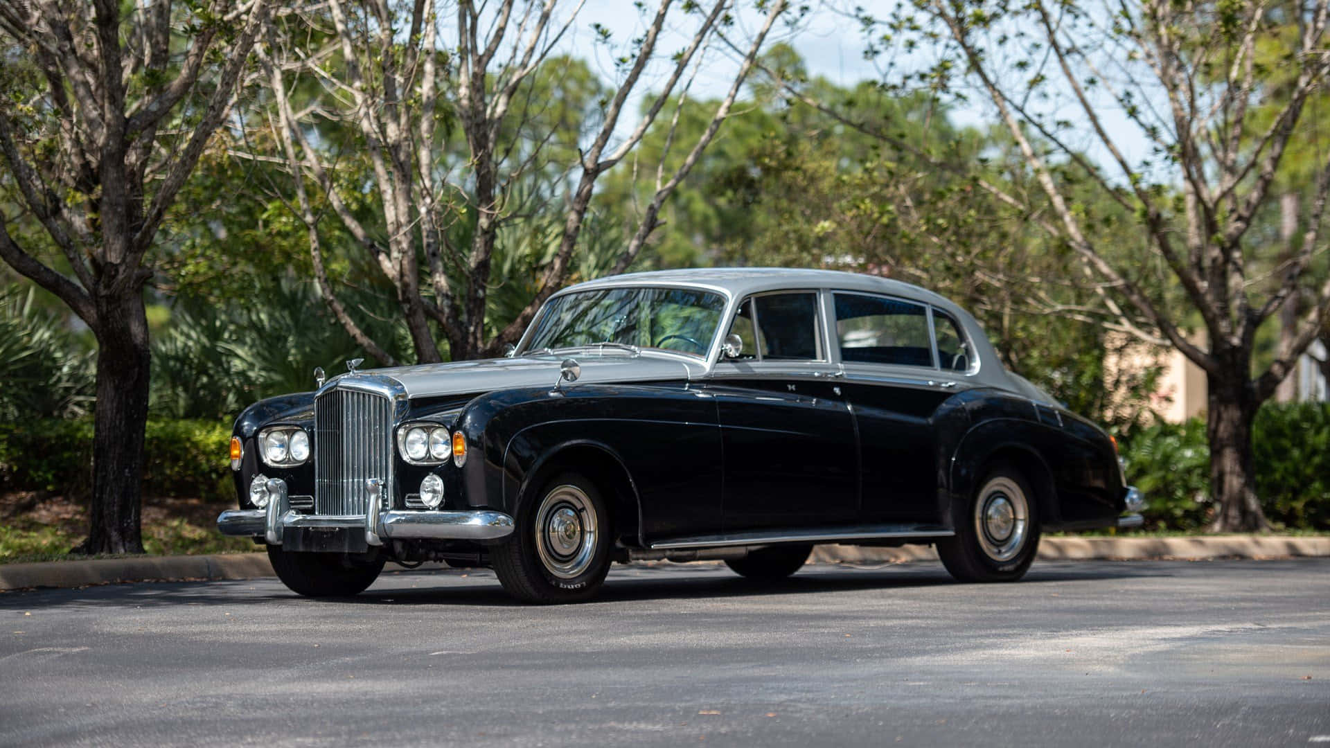 Bentley S3 桌布 壁紙 — 一輛時尚的黑色復古賓利轎車在明亮的日光下閃閃發光，停在鋪滿瀝青的道路上，兩旁綠樹成蔭。