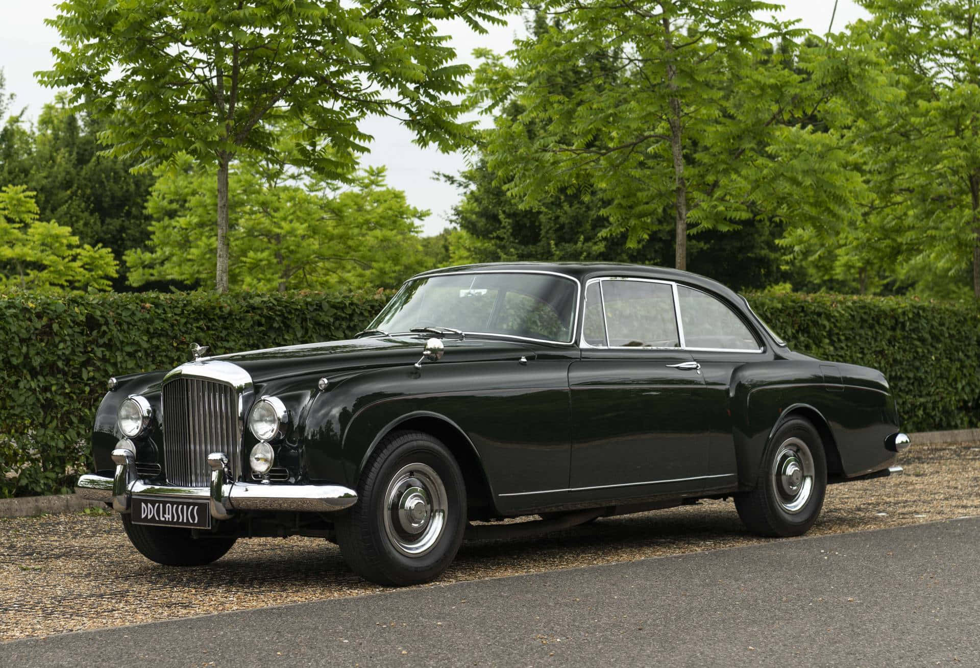 Bentley S2 桌布 壁紙 — 一架時尚的黑色經典賓利轎車在日光下閃閃發光，停泊在碎石車道上，旁邊是茂密的綠色籬笆和樹木。