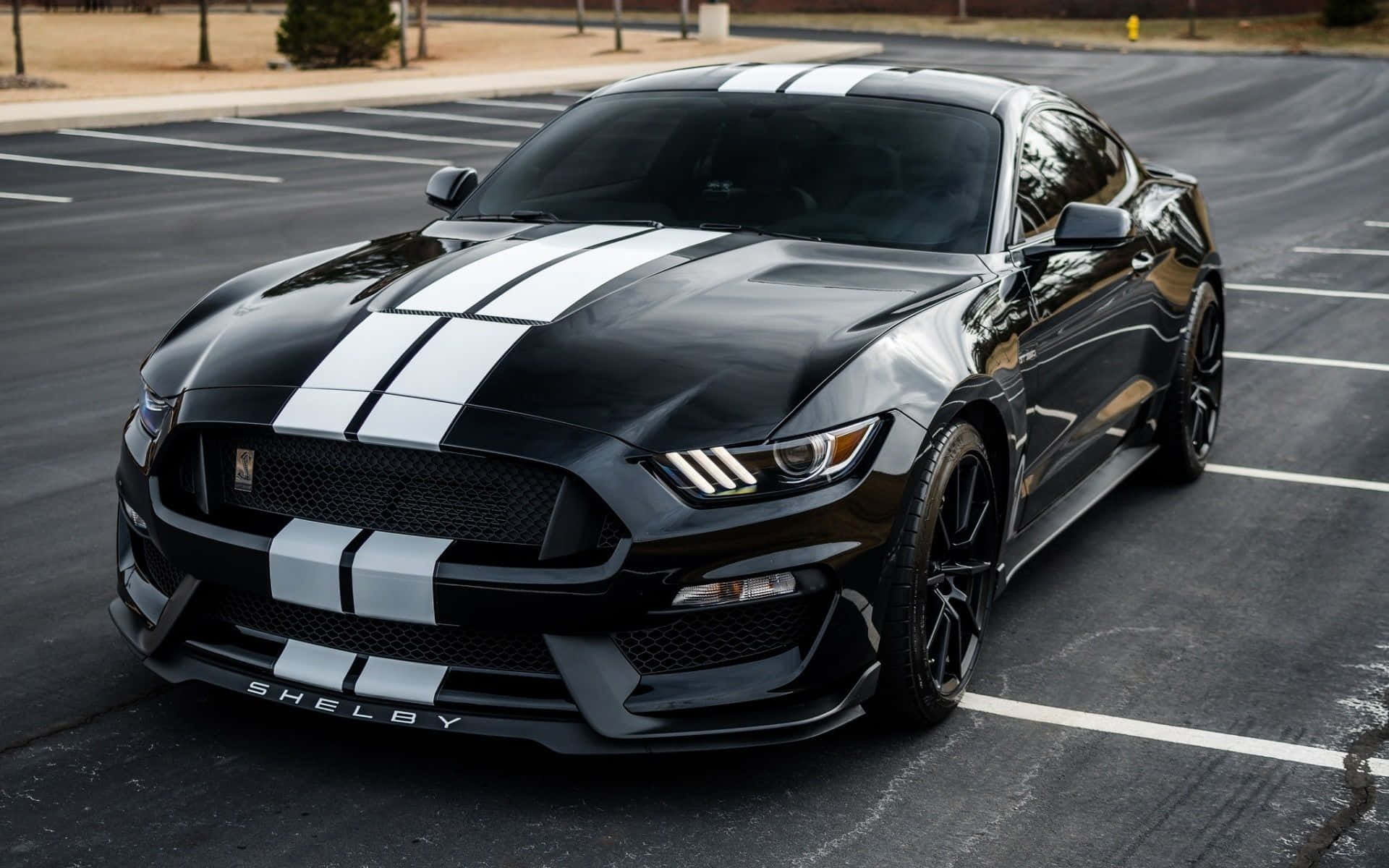 Ford Mustang Shelby Gt350 桌布 壁紙 — 一架型格黑色Shelby Mustang，帶有搶眼白色賽車條紋，在空蕩蕩的瀝青停車場日光下閃閃發光。