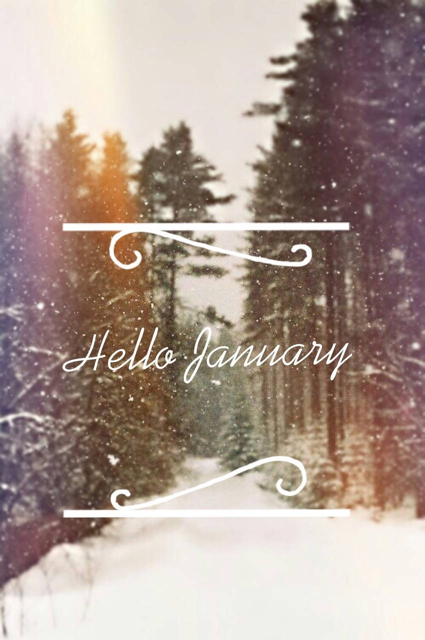 Hello January 與懷舊濾鏡風 壁紙 — 白雪覆蓋松樹，柔和光線穿透其間，優雅白色字體寫著「你好一月」。