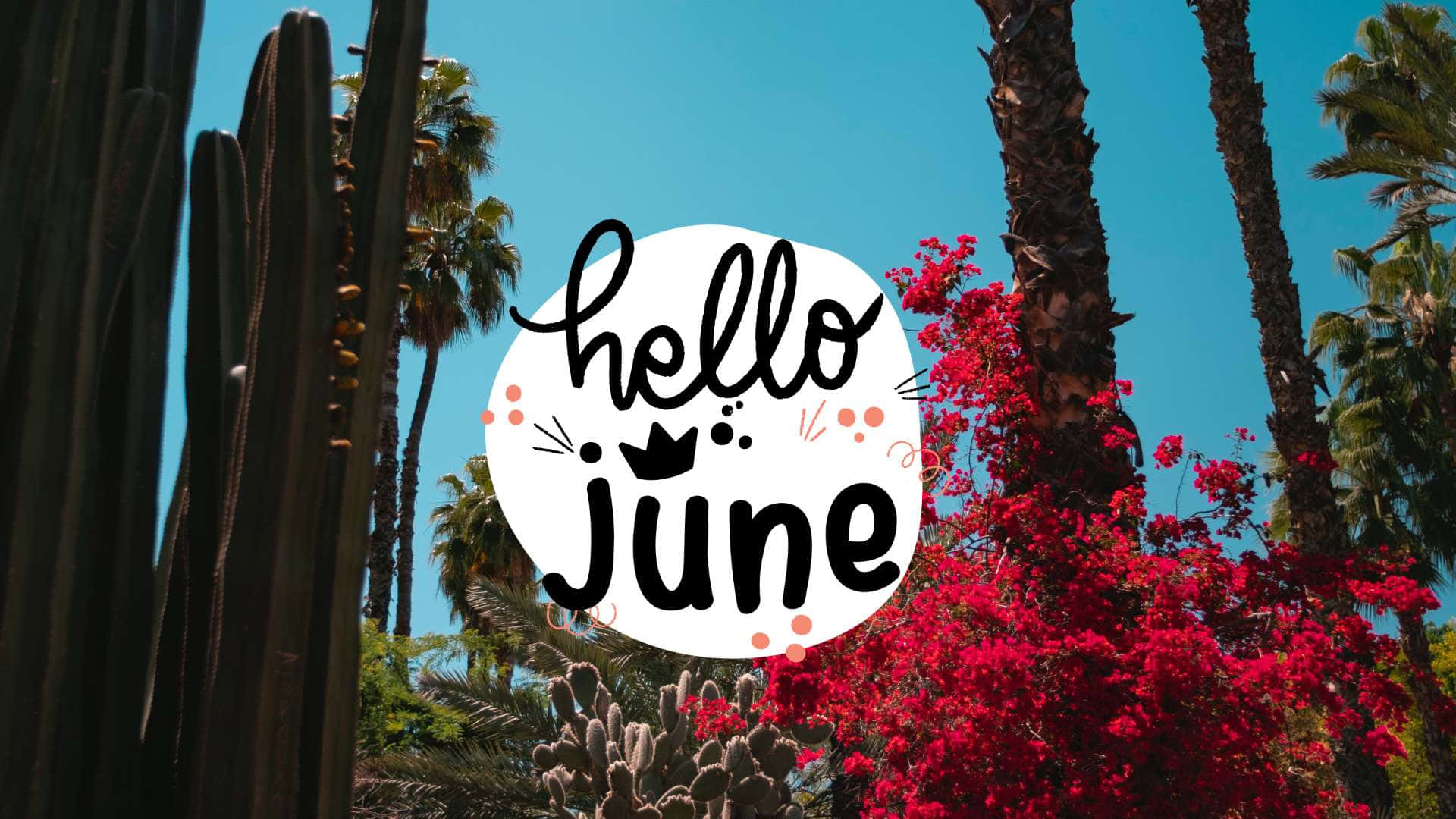 仙人掌與樹木背景的「Hello June」 壁紙 — 鮮豔的紅色三角梅花朵圍繞著「hello june」圖案，背景是高聳的棕櫚樹和清澈的藍天。