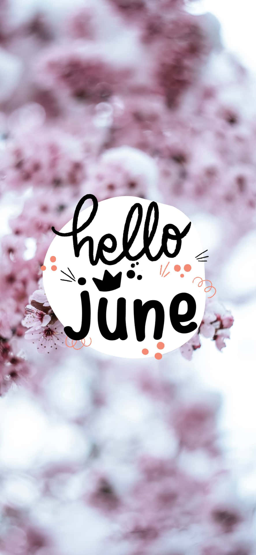Hello June 問候語，背景是柔焦的粉紅櫻花。
