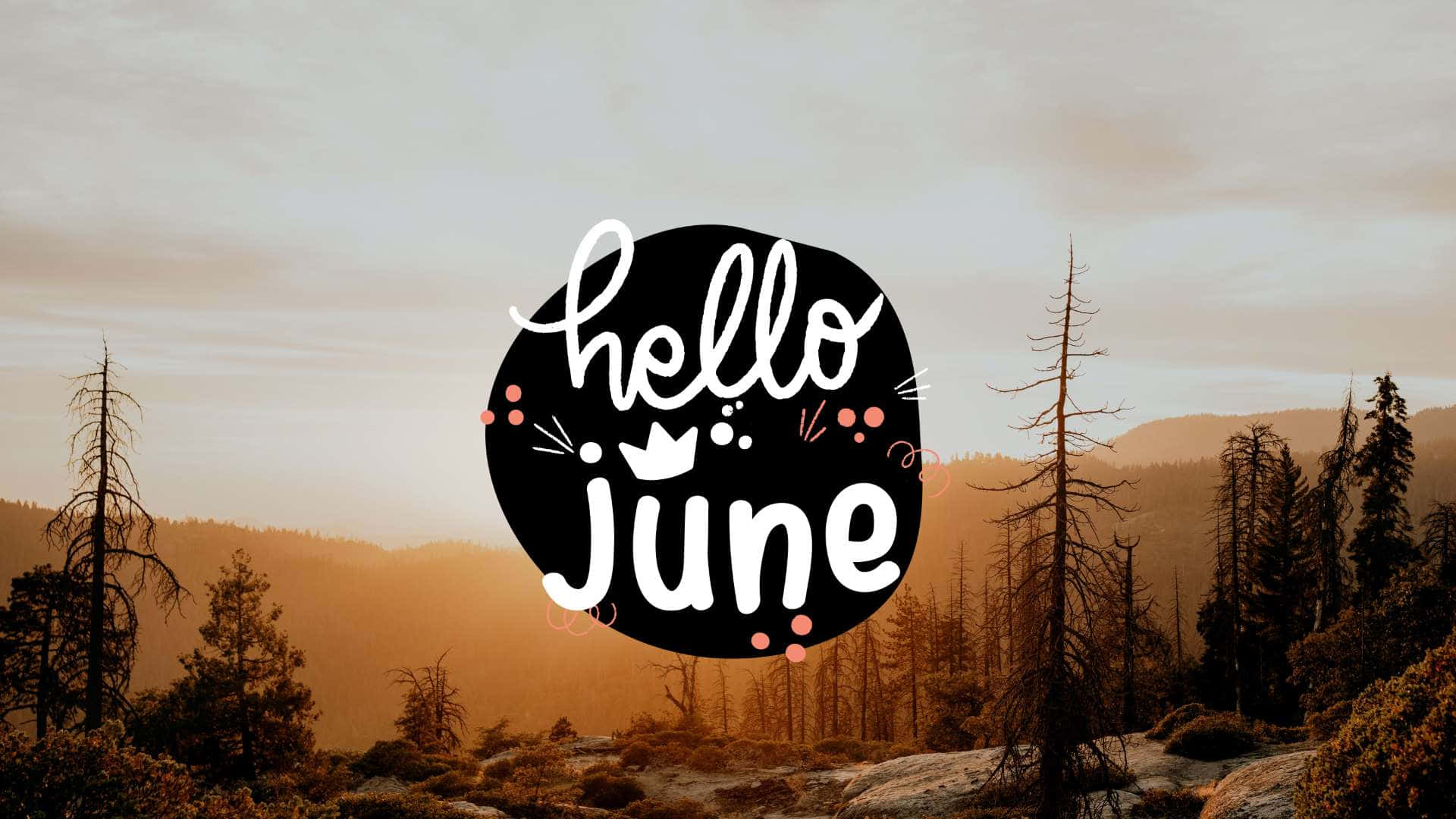 Hello June 文字圖案覆蓋在山脈日落森林場景上