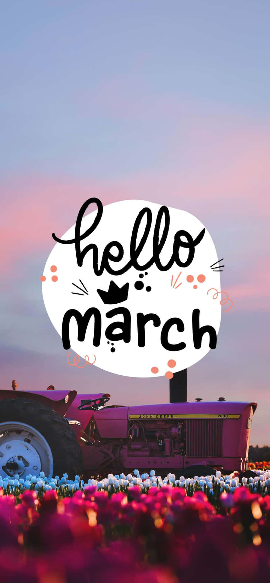 日落時分鬱金香田中的粉紅色拖拉機，帶有 'hello march' 文字圖形。