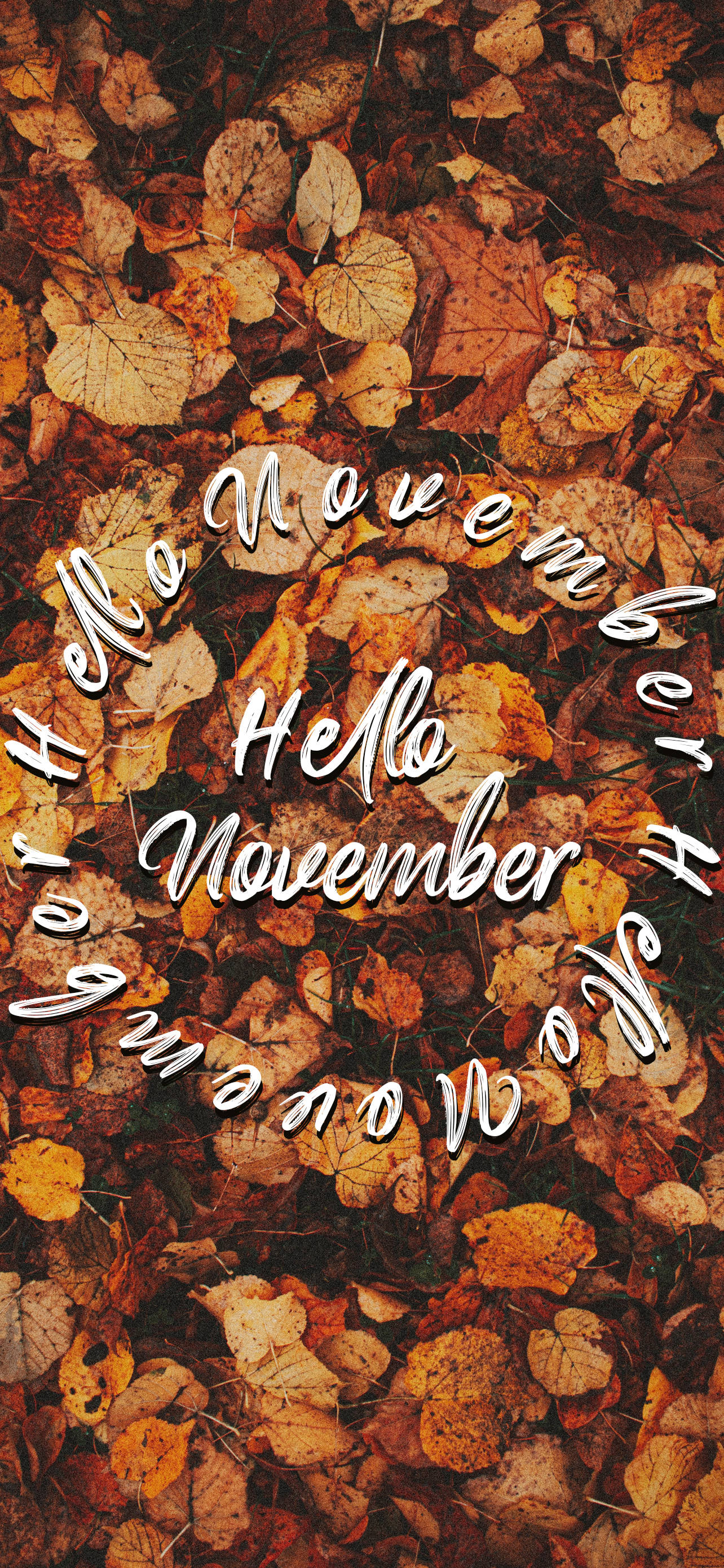 Hello November 喺秋葉上 壁紙 — 秋季樹葉的特寫，呈現溫暖的橙色和棕色色調，中央以白色草書寫有「Hello November」。