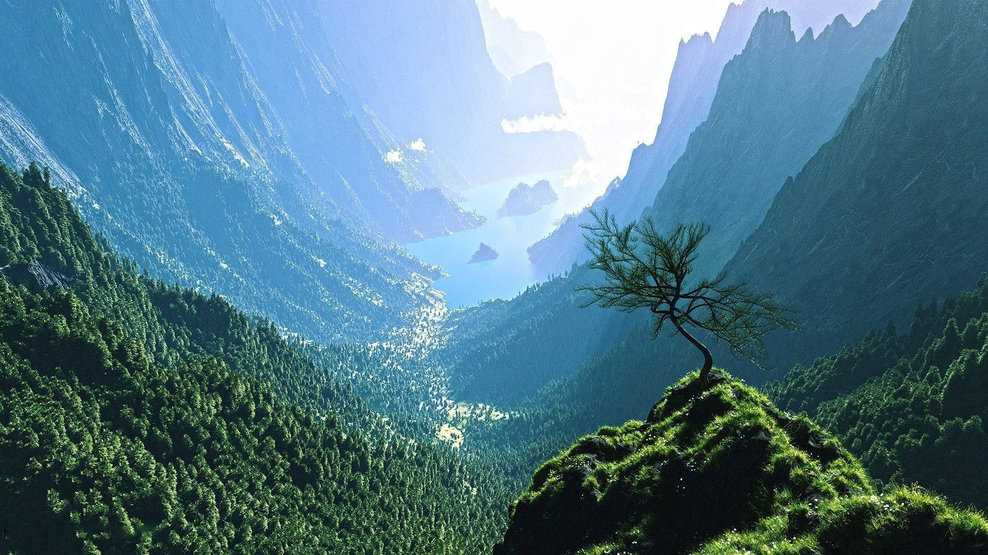 壯麗高山風景 壁紙 — 一棵孤獨的樹矗立在長滿草的懸崖上，俯瞰著深谷，谷中有蜿蜒的河流和高聳的山脈，沐浴在柔和的晨光中。