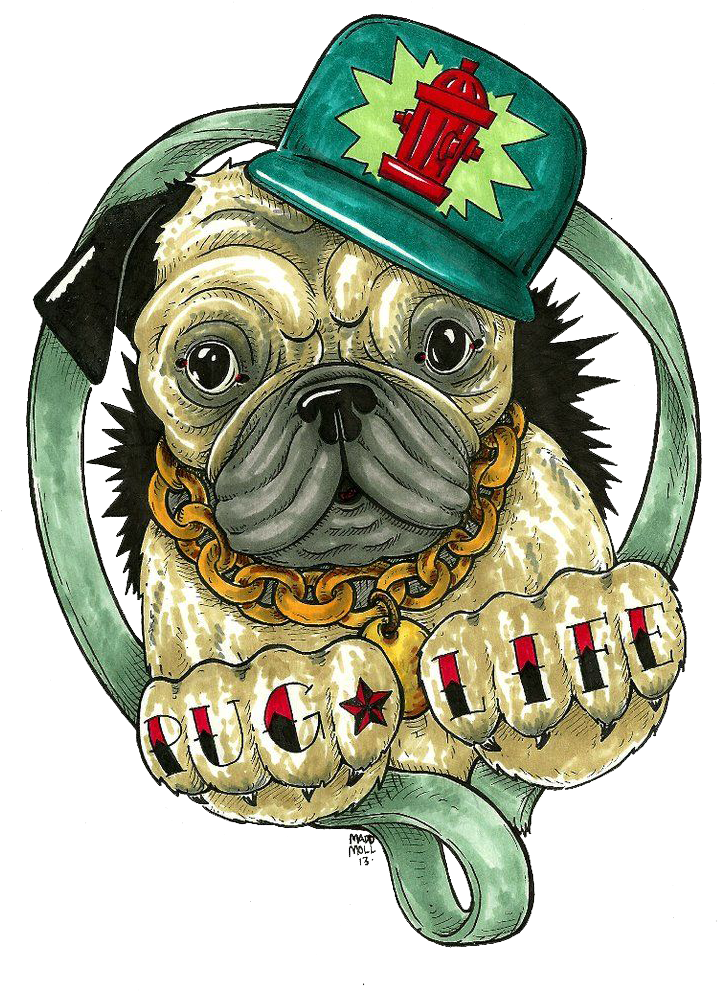 Hip Hop Pug 插圖 壁紙
