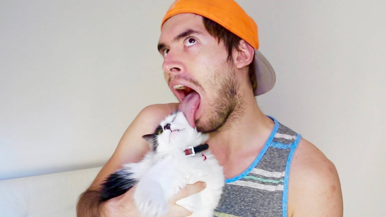 HolaSoyGerman 與貓咪玩鬧 壁紙 — 一個戴著橙色帽的男人頑皮地伸出舌頭，一隻毛茸茸的白貓正在舔他的臉。