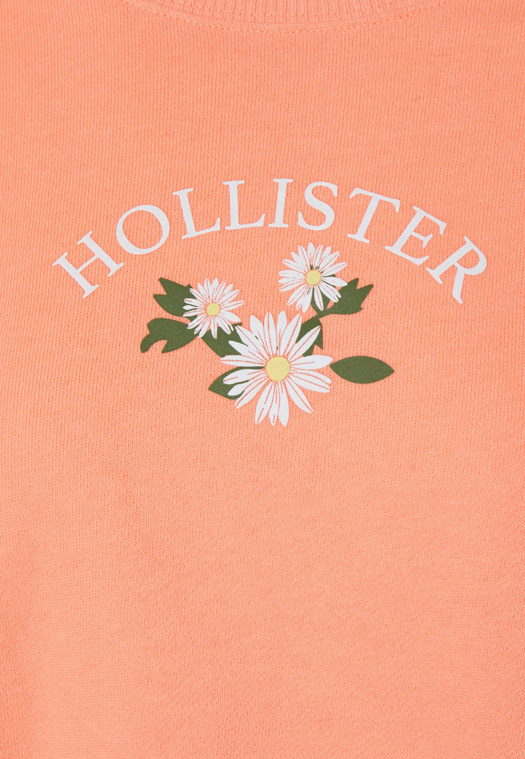Hollister 三朵白花圖案 壁紙 — 珊瑚粉紅色 Hollister 毛衣的特寫，上面有白色雛菊和綠色葉子，下方有拱形白色文字。