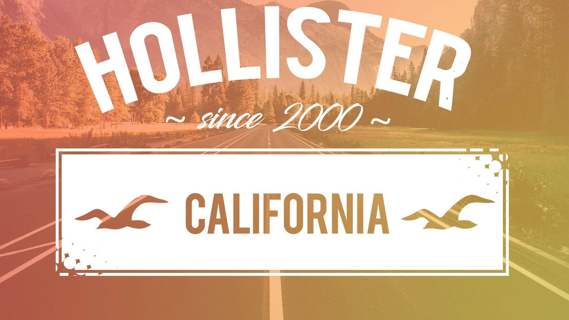 Hollister 自2000年加州風情 壁紙 — 一個復古風格的標誌，上面寫著 'HOLLISTER since 2000 CALIFORNIA'，文字兩側有海鷗，背景是暖色調的山路。