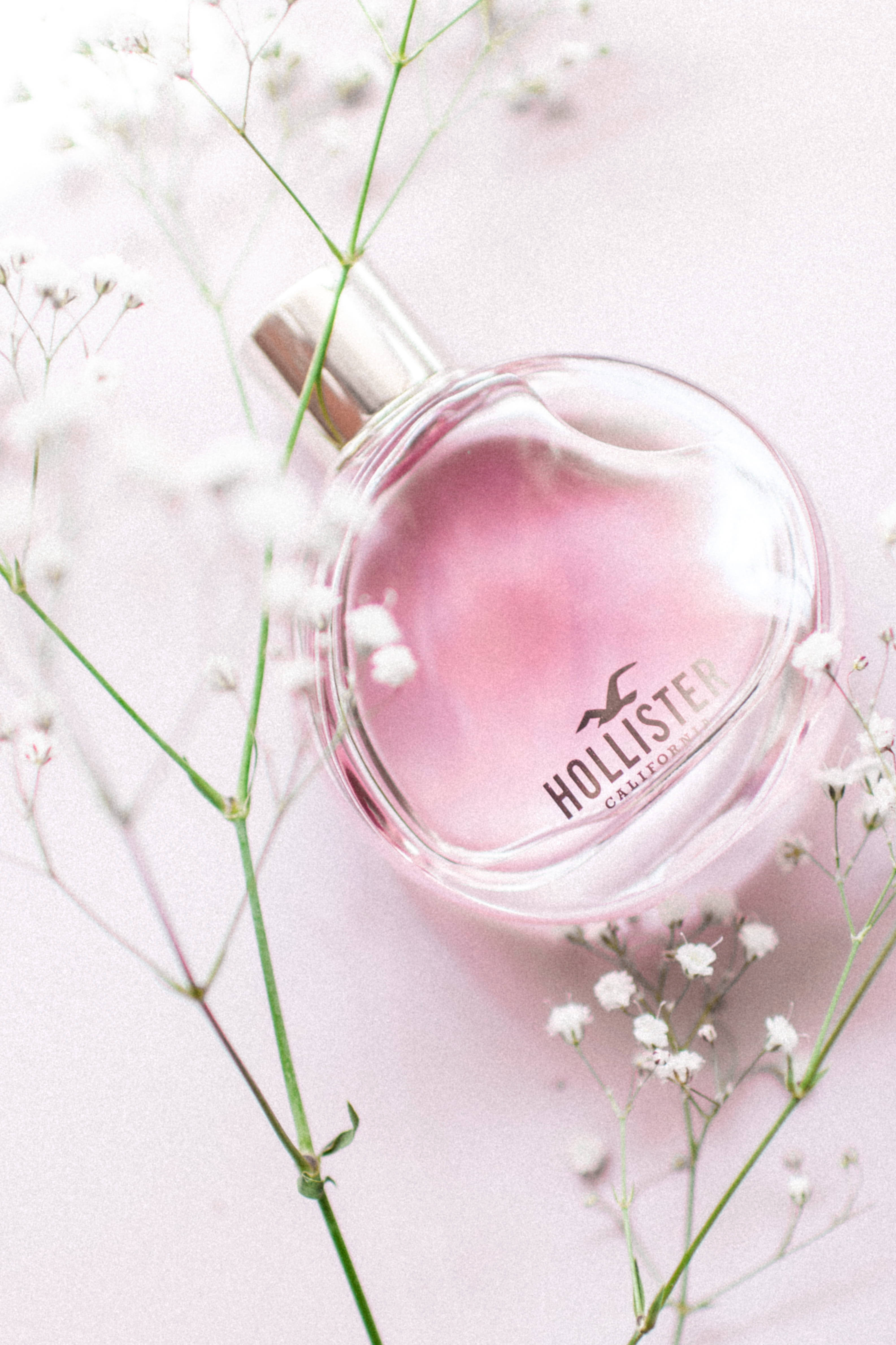 Hollister女士香水瓶 壁紙 — 一個粉紅色Hollister香水瓶，依偎在柔軟粉紅背景上精緻的滿天星花朵之間。