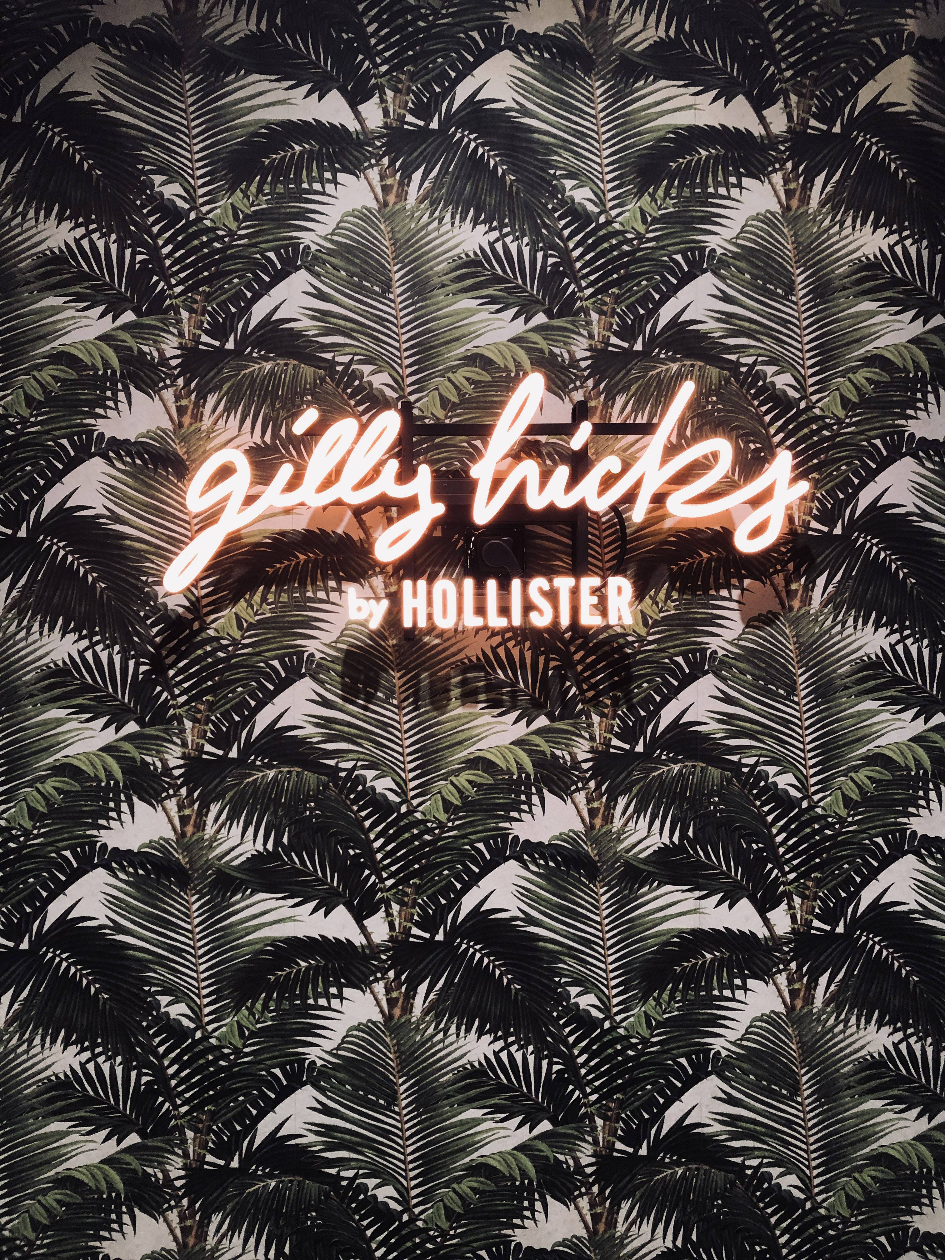 Hollister棕櫚葉背景海報 壁紙 — 一個寫著 gilly hicks by hollister 的霓虹燈牌，在濃密的熱帶棕櫚葉牆紙圖案上溫暖地發光。