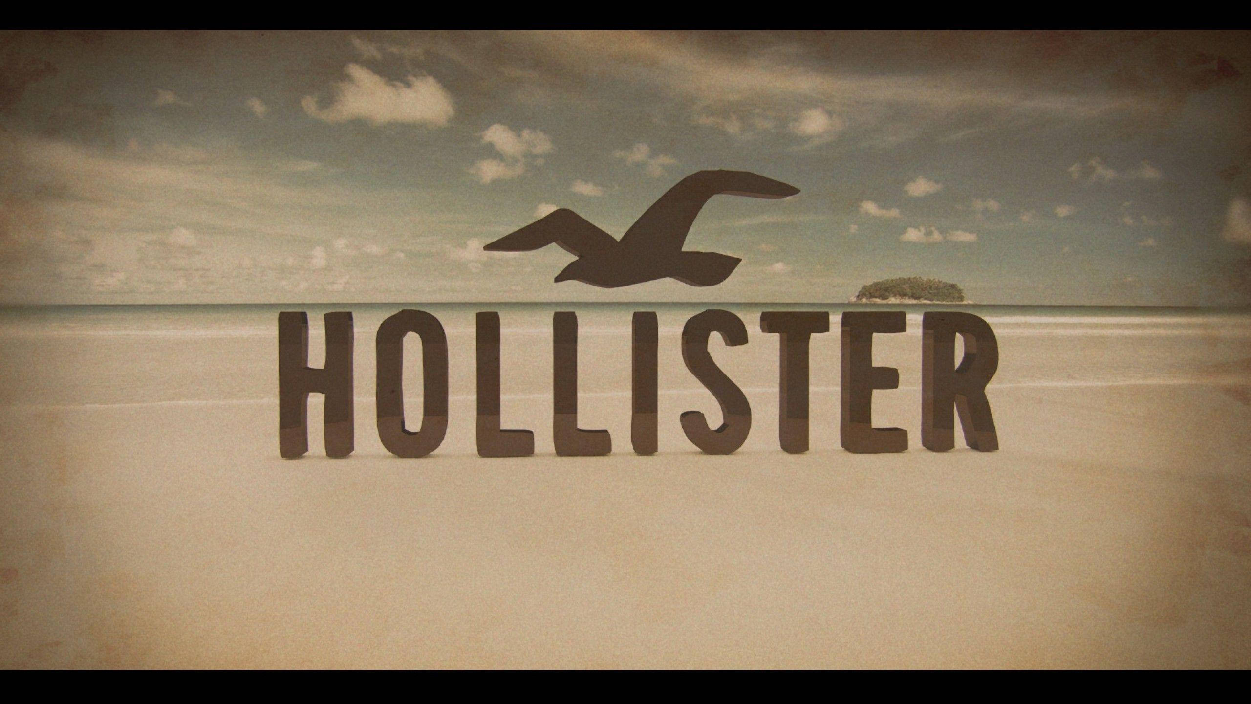 Hollister海灘岸邊標誌 壁紙 — 「Hollister」一字立於沙灘上，海鷗在上空飛翔，遠方島嶼在陰天之下。