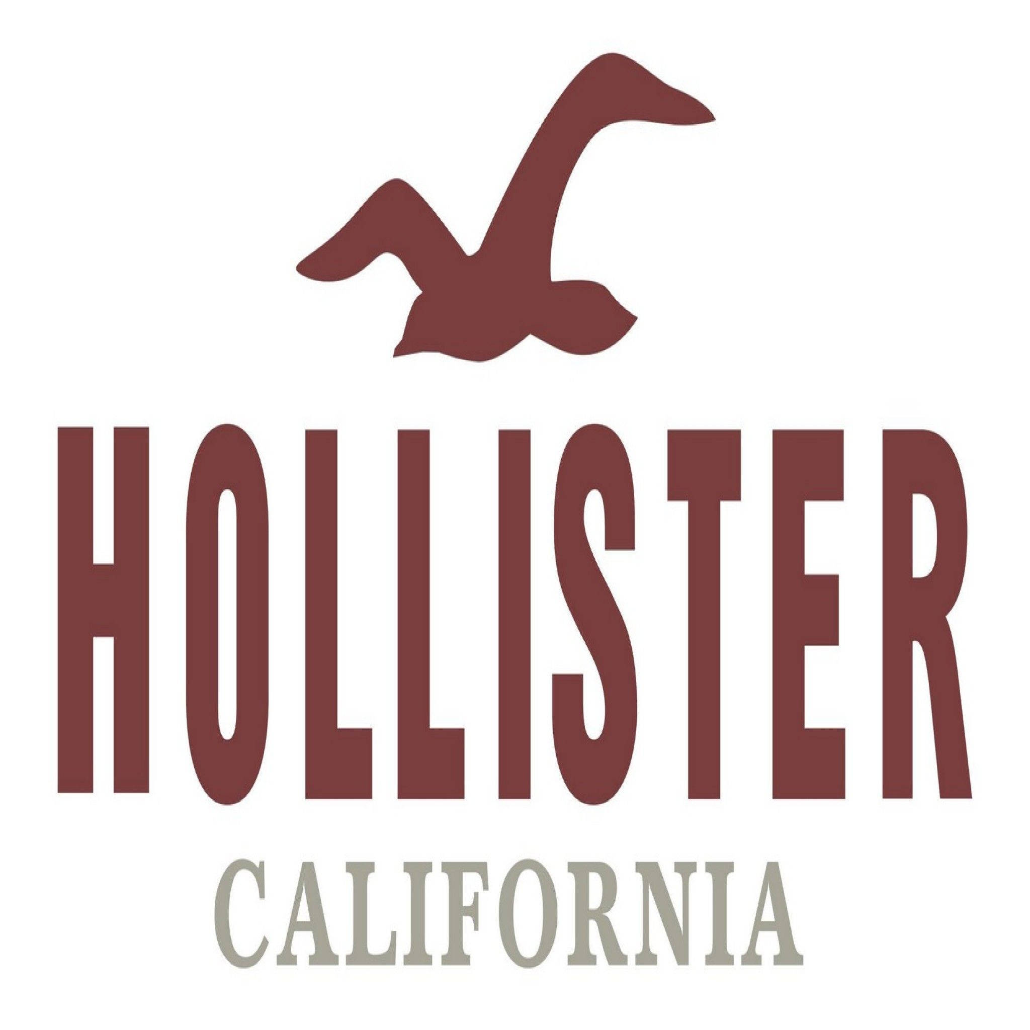 Hollister經典標誌 壁紙 — 一個大膽的栗色Hollister標誌，品牌名稱上方有飛鳥剪影，下方有California文字。