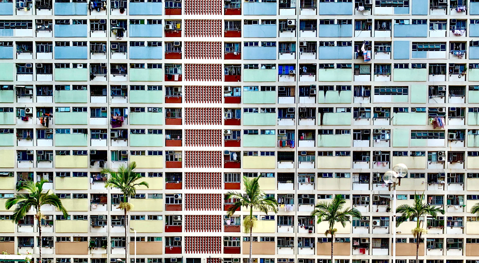 香港九龍城寨壁紙。