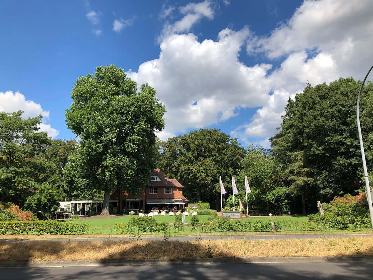 Tilburg 桌布 壁紙 — 一間紅磚屋隱藏在茂密的綠樹之中，上方是明亮的藍天和蓬鬆的白雲。