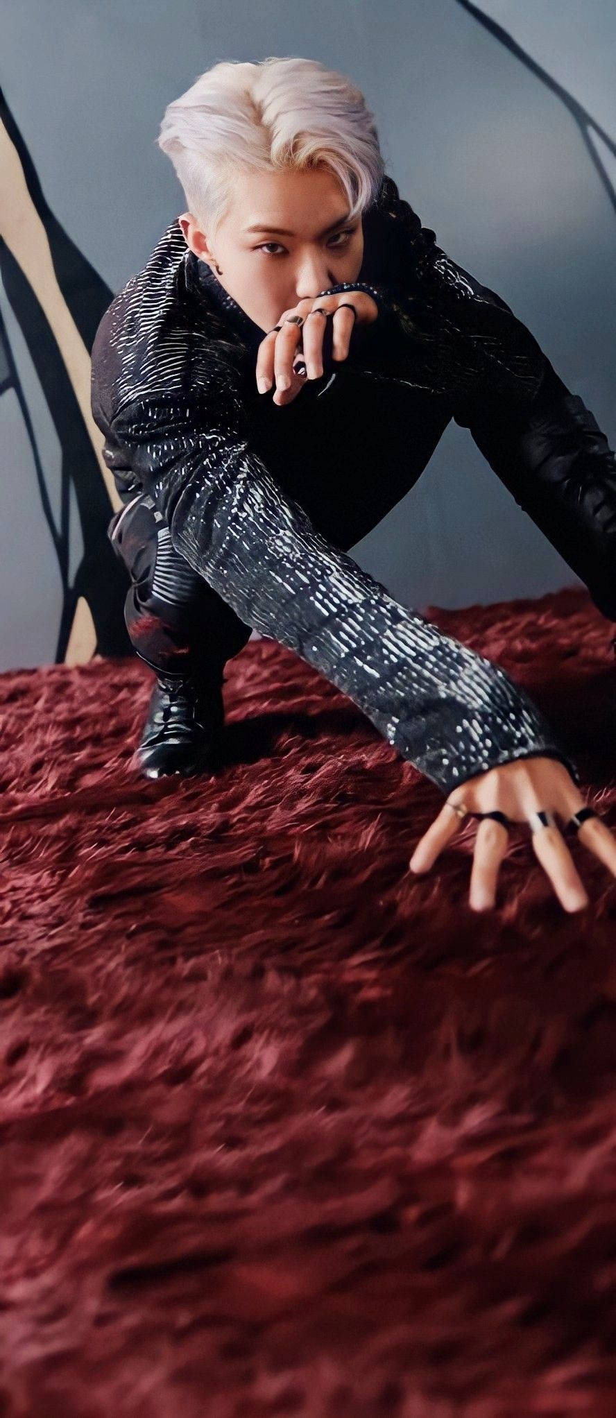 Hoshi《Spider》個人單曲 壁紙 — 一個擁有鉑金色頭髮的人蹲在柔軟的紅色地毯上，穿著黑色閃片外套和多個戒指。