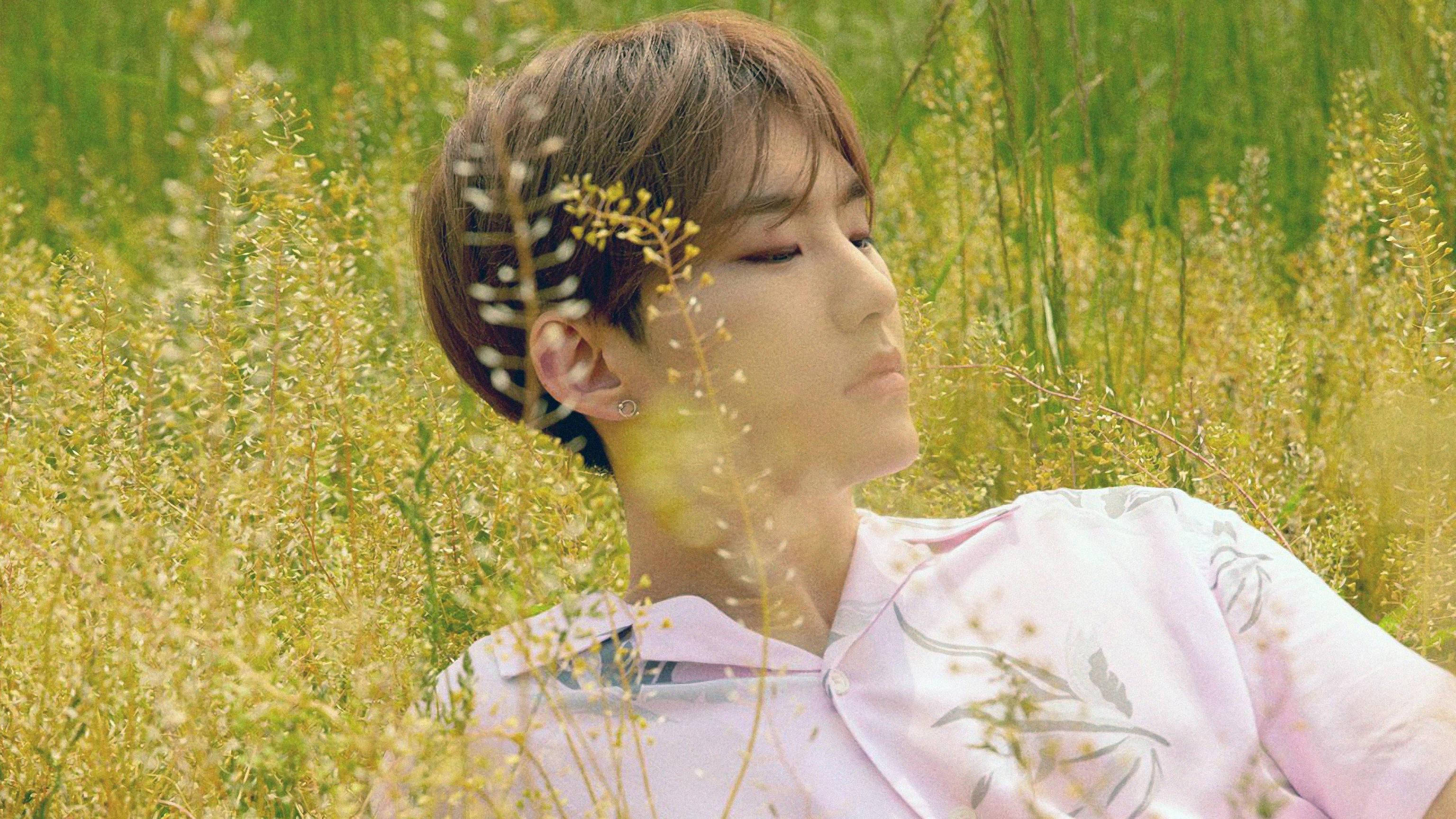 Hoshi 側面視角 壁紙 — 一位短棕髮年輕男子在陽光明媚的高大金色草叢和野花田中安詳地休息。