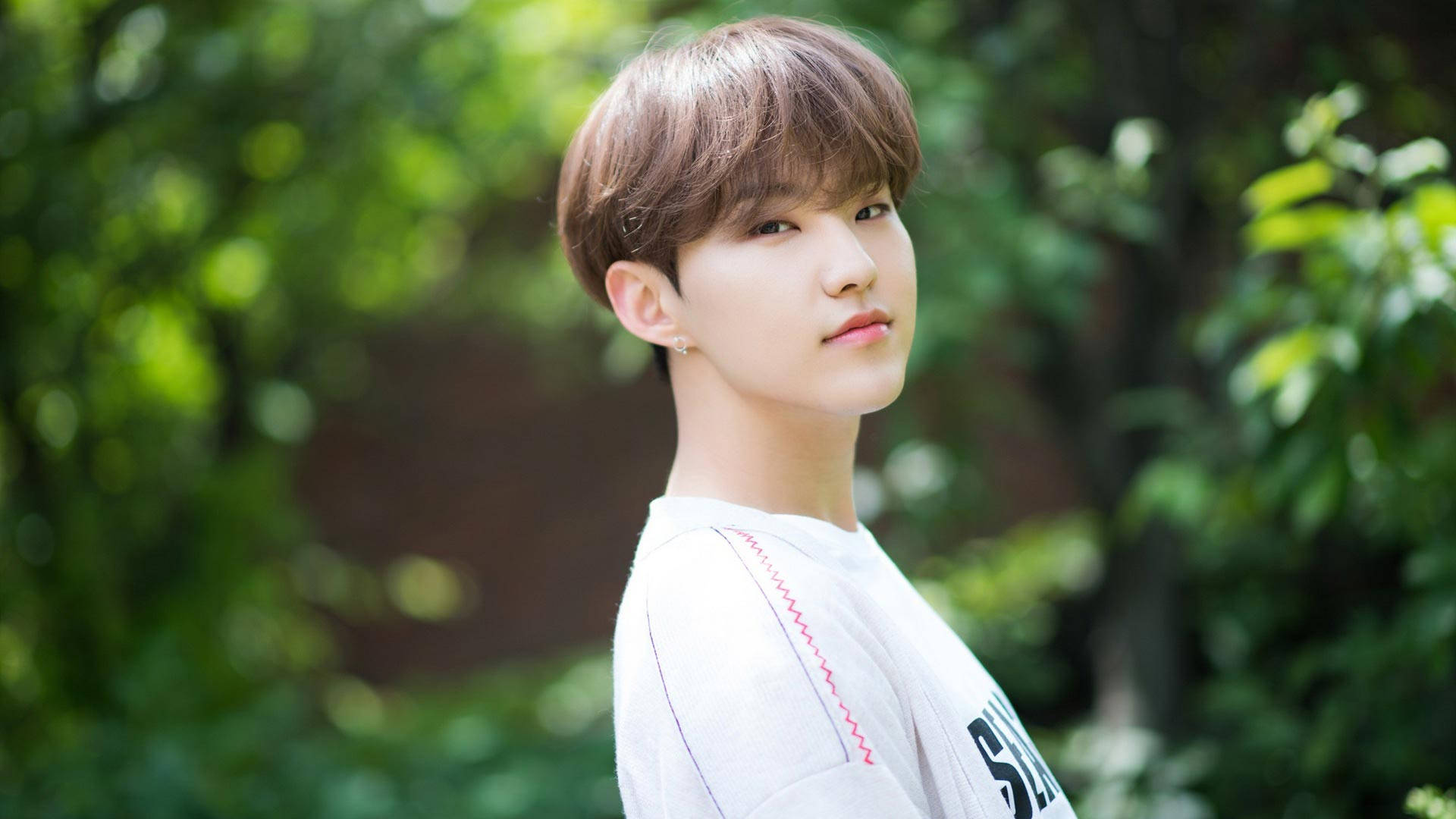 Hoshi 碗狀髮型 壁紙 — 一位短棕髮、身穿白恤衫的年輕男子站在陽光明媚的花園中，身後是茂密的綠色樹葉。