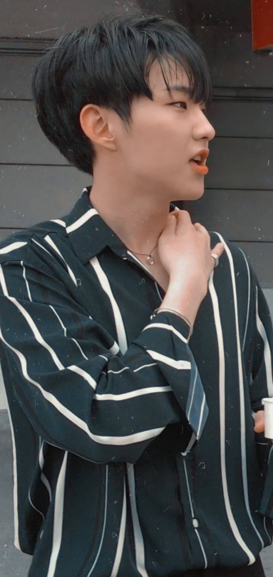 Hoshi 美學造型 壁紙 — 一位深色頭髮的年輕男子穿著黑白間條襯衫，側頭望向灰色木牆。