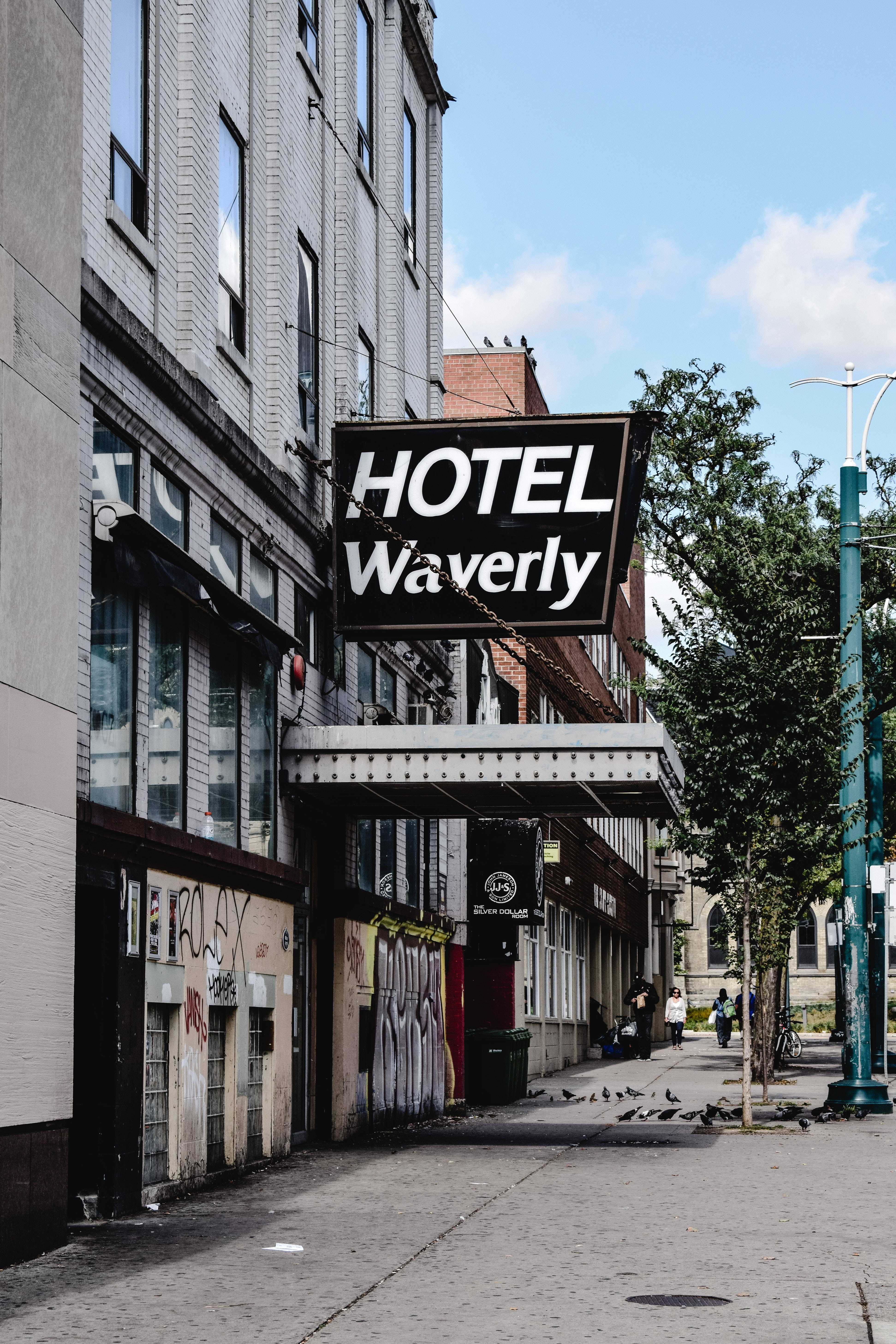 多倫多老酒店 Hotel Waverly 招牌 壁紙 — 一塊寫有「HOTEL Waverly」的復古酒店招牌懸掛在陽光普照的城市小巷上方，小巷地面有鴿子，牆壁佈滿塗鴉。