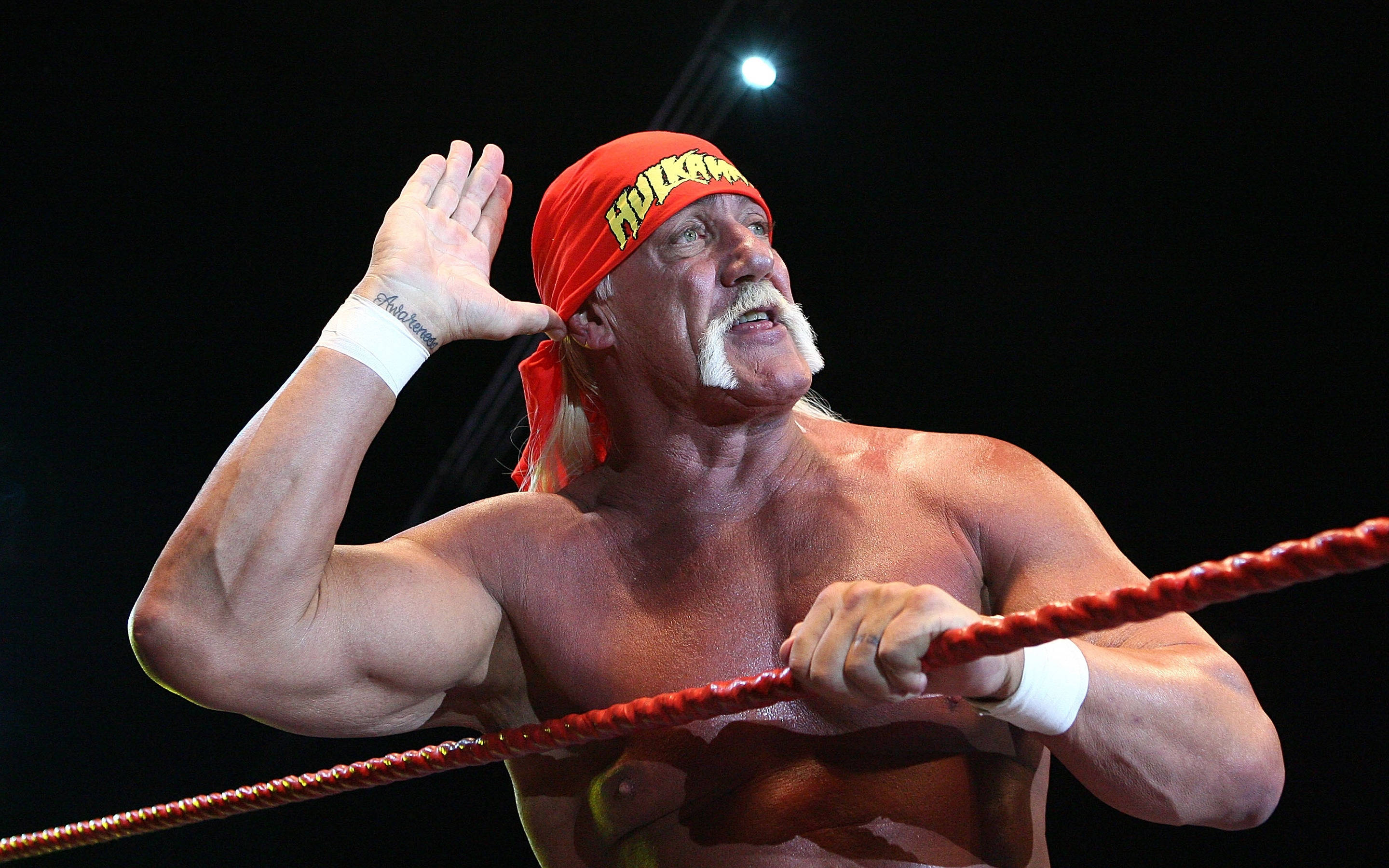 Hulk Hogan 摔角傳奇 壁紙 — Hulk Hogan 在明亮的場館燈光下，戴著紅色頭帶和白色腕帶，從摔角擂台上向粉絲揮手。