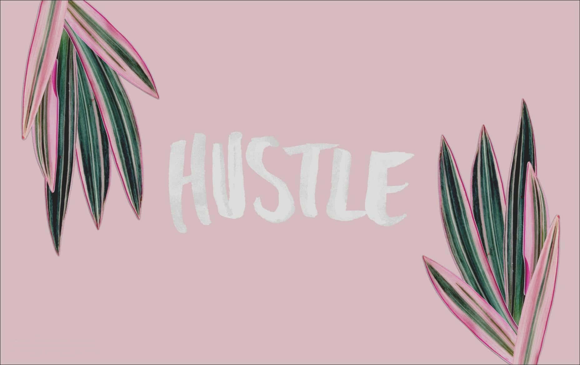 Hustle Tumblr 電腦壁紙 壁紙 — 白色刷字體「HUSTLE」置中於柔和粉紅色背景上，並由鮮豔的粉紅和綠色條紋熱帶葉片環繞。