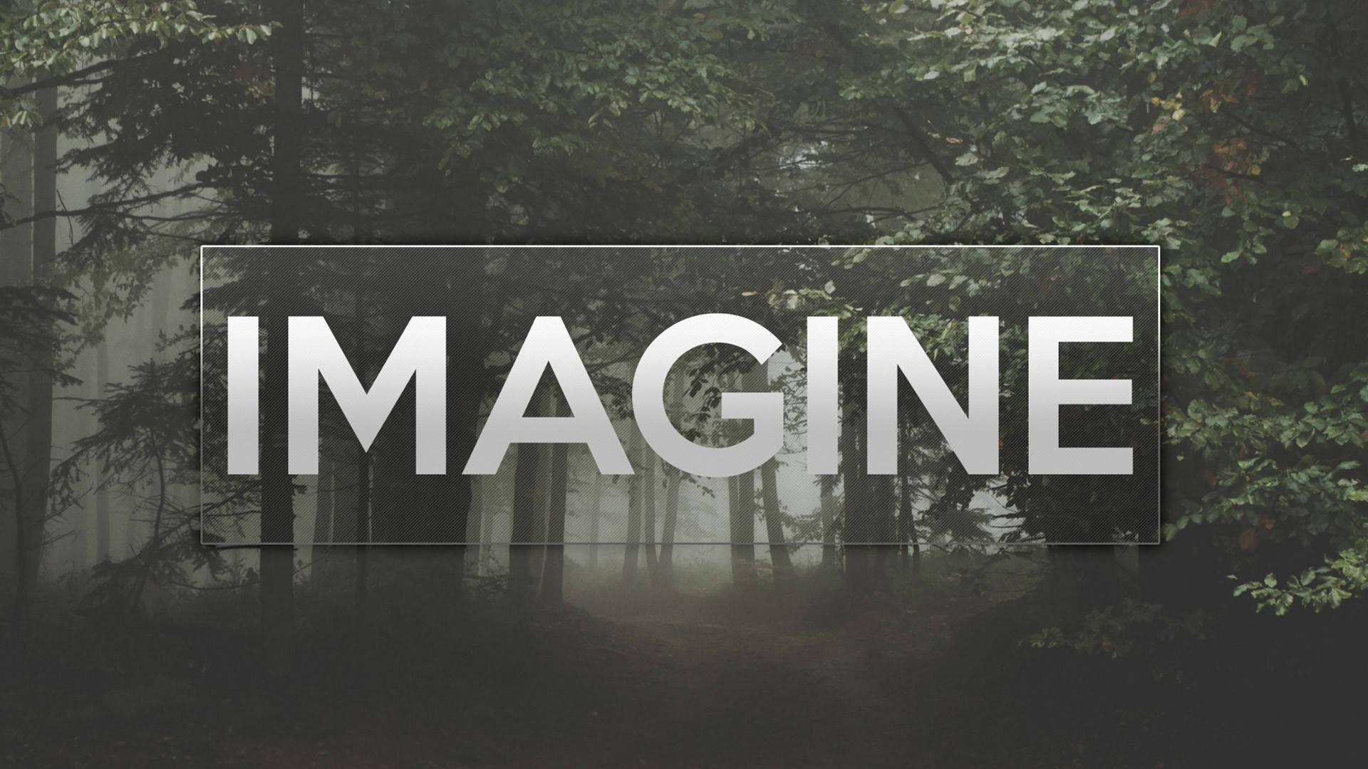 Imagine Dragons森林主題藝術字 壁紙 — 「imagine」一詞以粗體白色字母在薄霧籠罩的森林中發光，森林中有高大的樹木和柔和擴散的光線。
