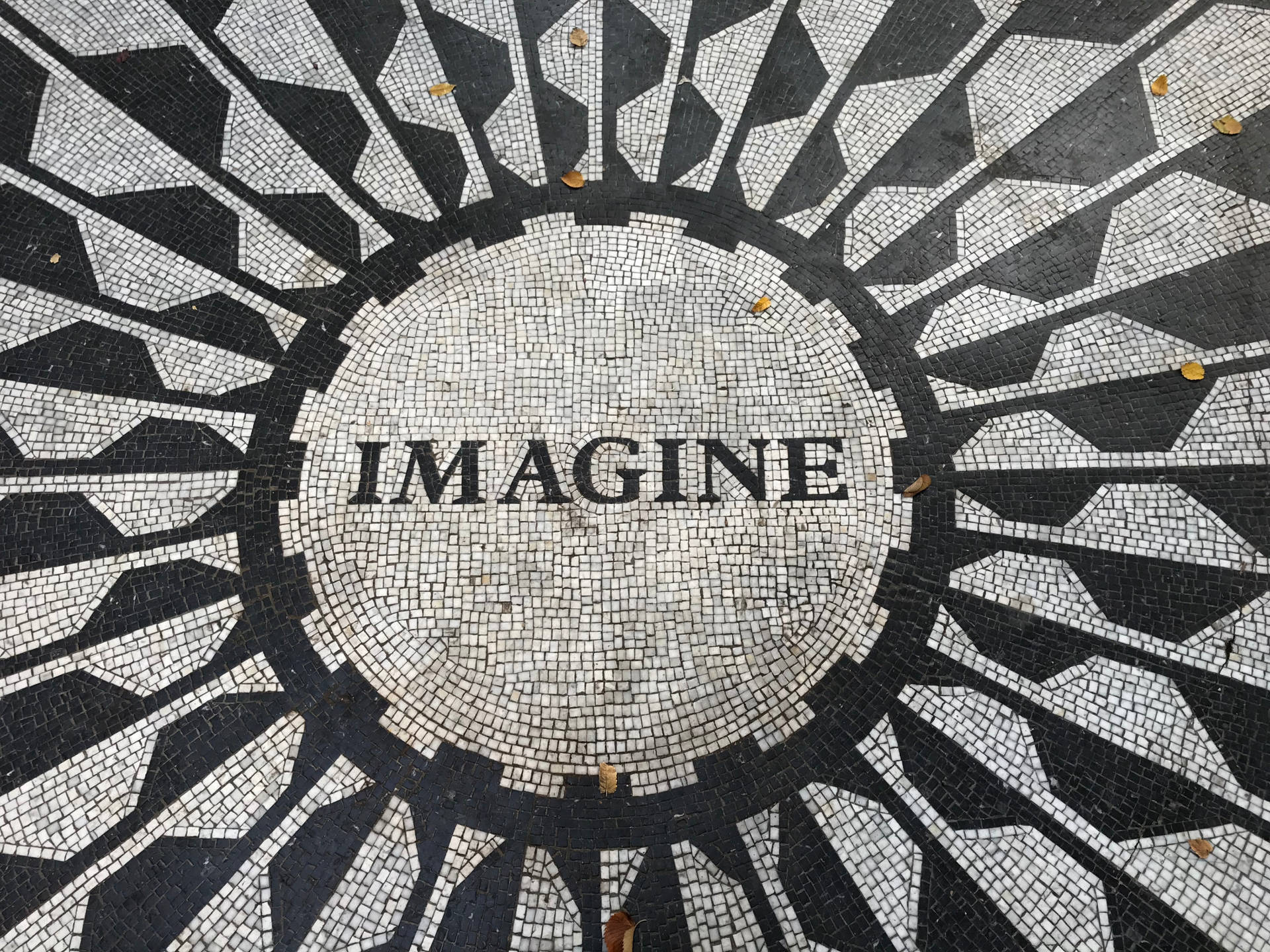 帶有「IMAGINE」字樣和秋葉的黑白馬賽克地板