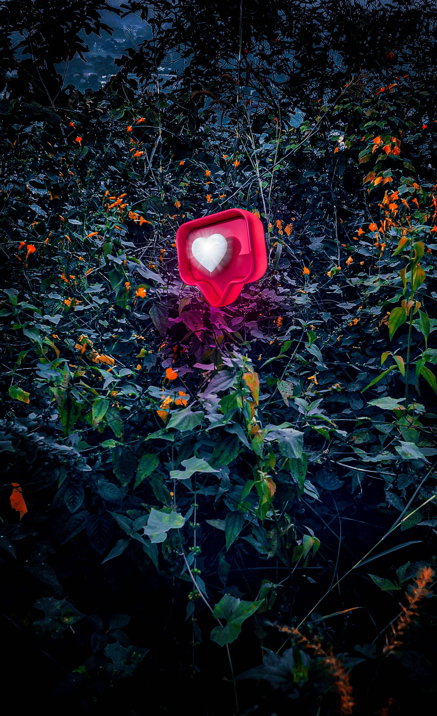 Instagram愛心圖標Picsart壁紙 壁紙 — 一個鮮紅色心形容器，內有白色心形，置於陰暗的樹葉和橙色花朵之間，身處一片氣氛憂鬱的森林中。