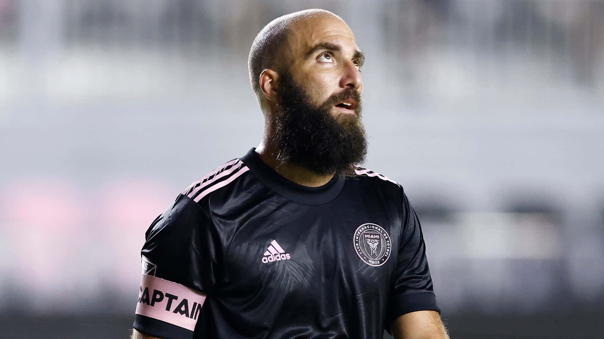 Inter Miami FC 球員 Gonzalo Higuain 側面肖像 壁紙 — 一位留鬍鬚的足球隊長，身穿黑色球衣，佩戴粉紅色隊長臂章，在夜間比賽中向上看。
