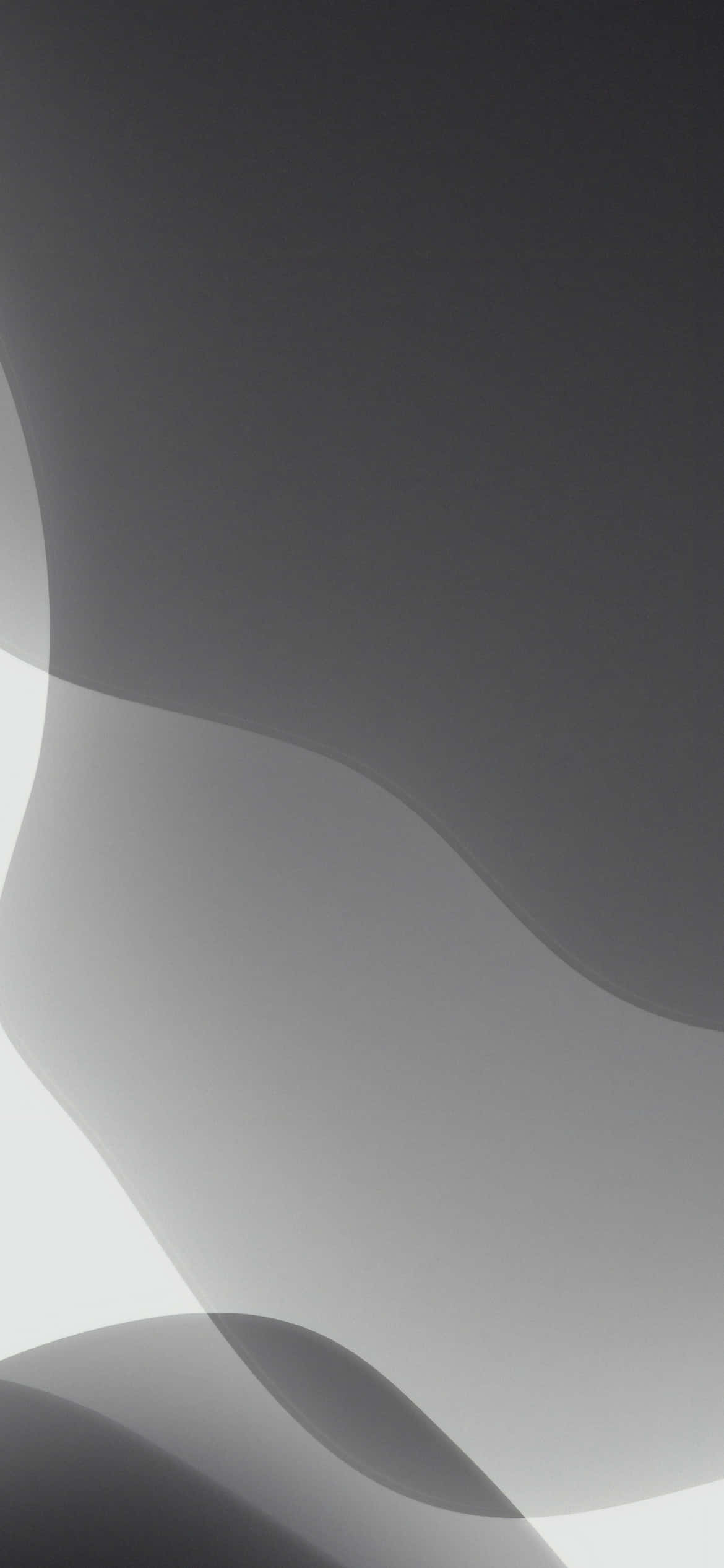 iOS 13 淺灰抽象背景 壁紙 — 平滑的抽象灰階波浪在極簡數位畫布上輕輕流動。