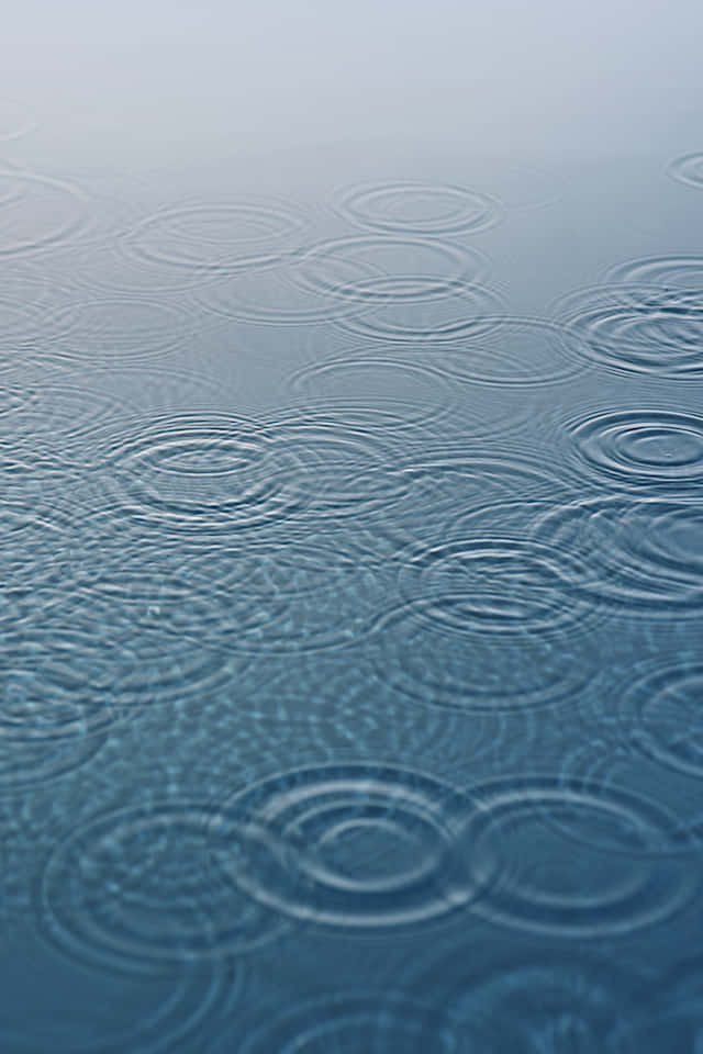 雨滴在平靜水面上形成漣漪的特寫。